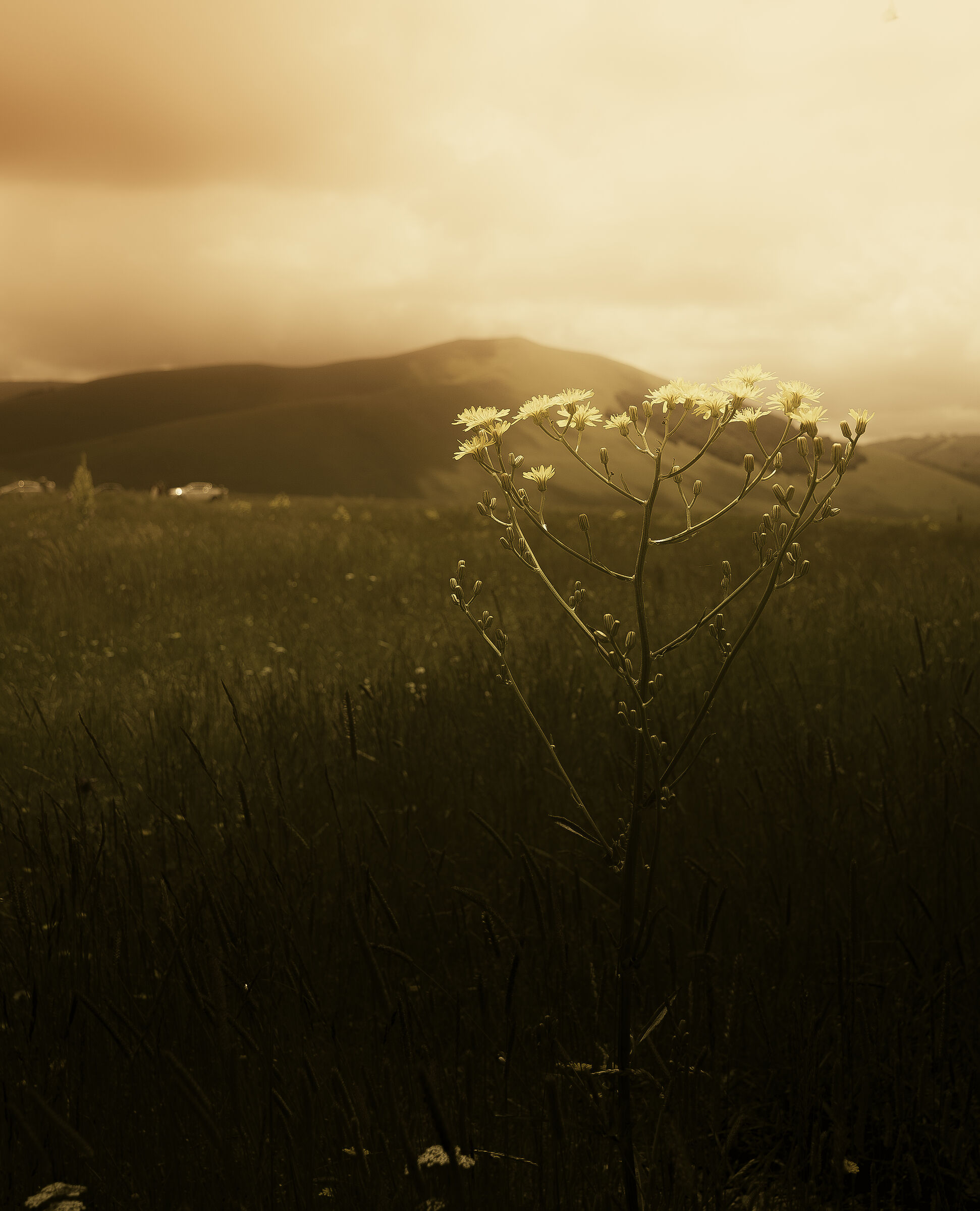 atmosphere at sunset