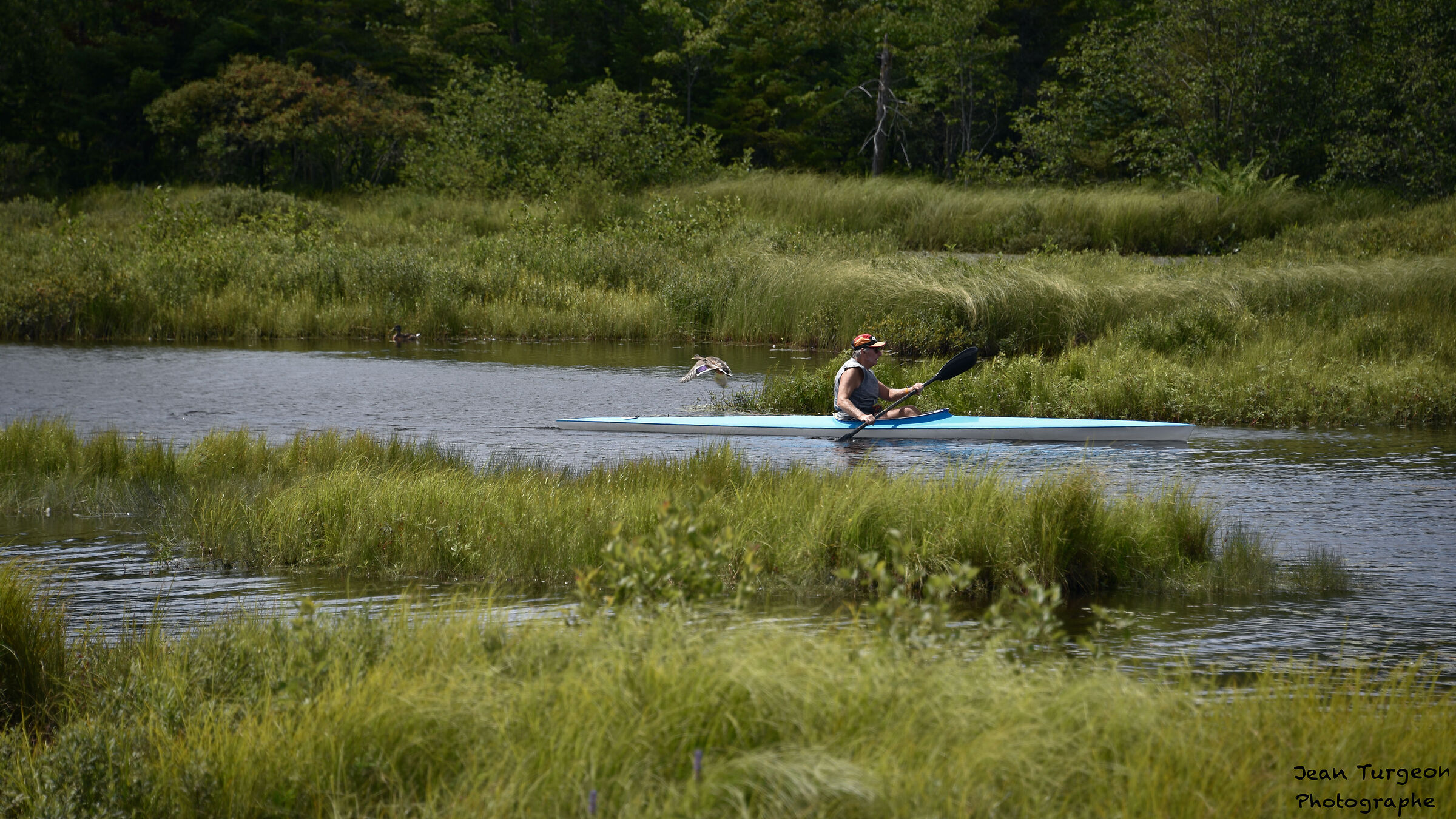 Kayaking through the ducks in the marshes