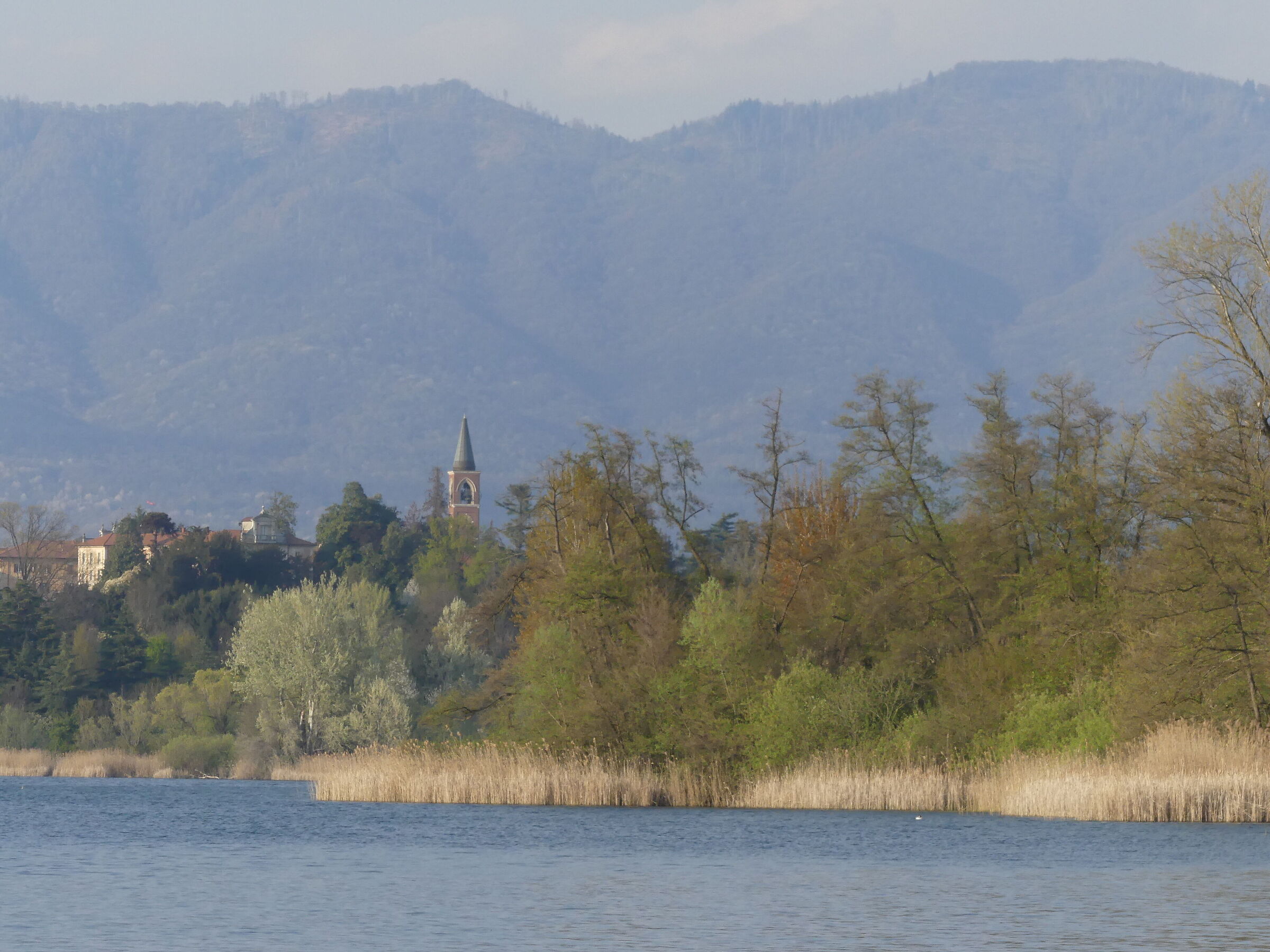 Lake Comabbio ( VA )