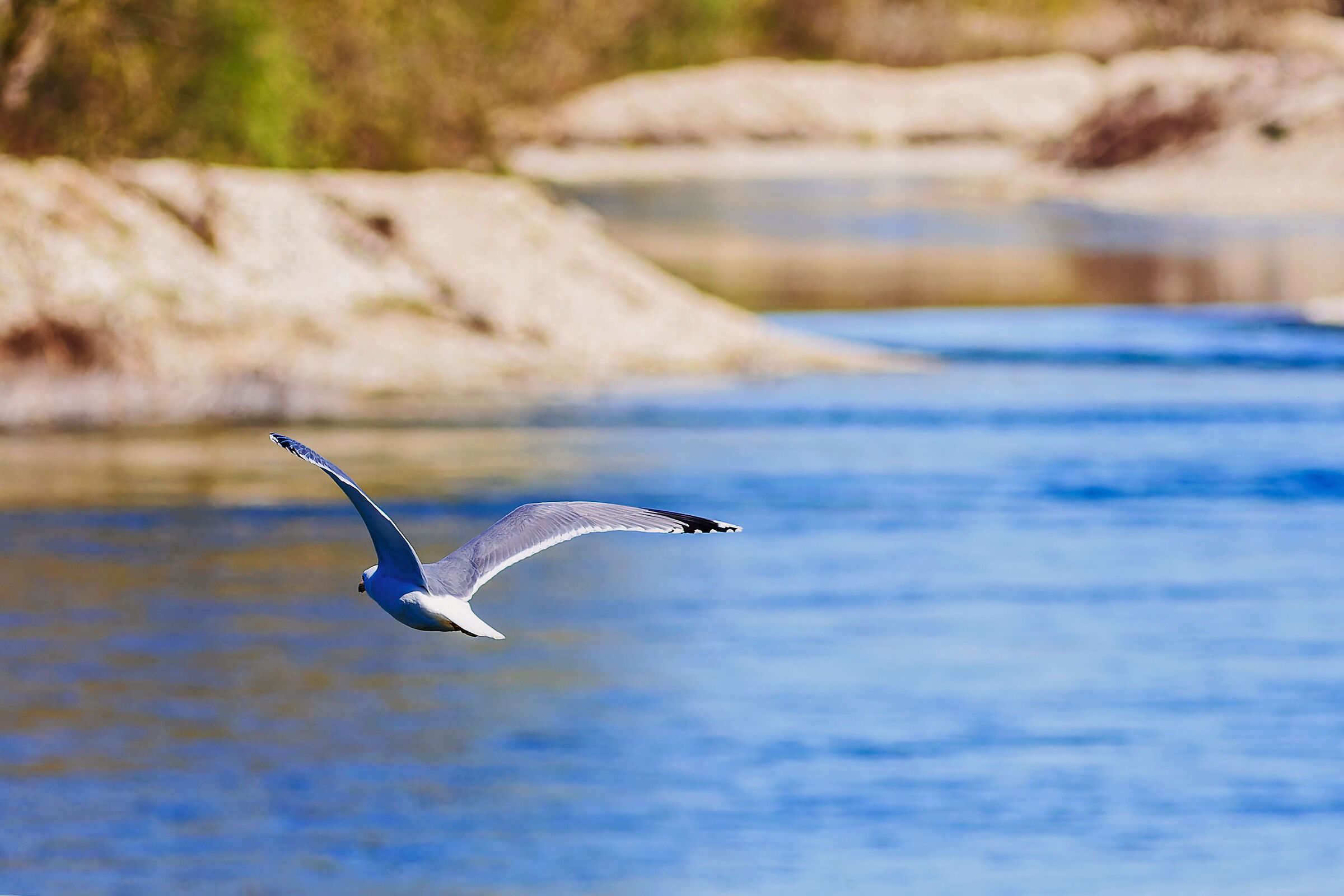 It's a gliding flight..........