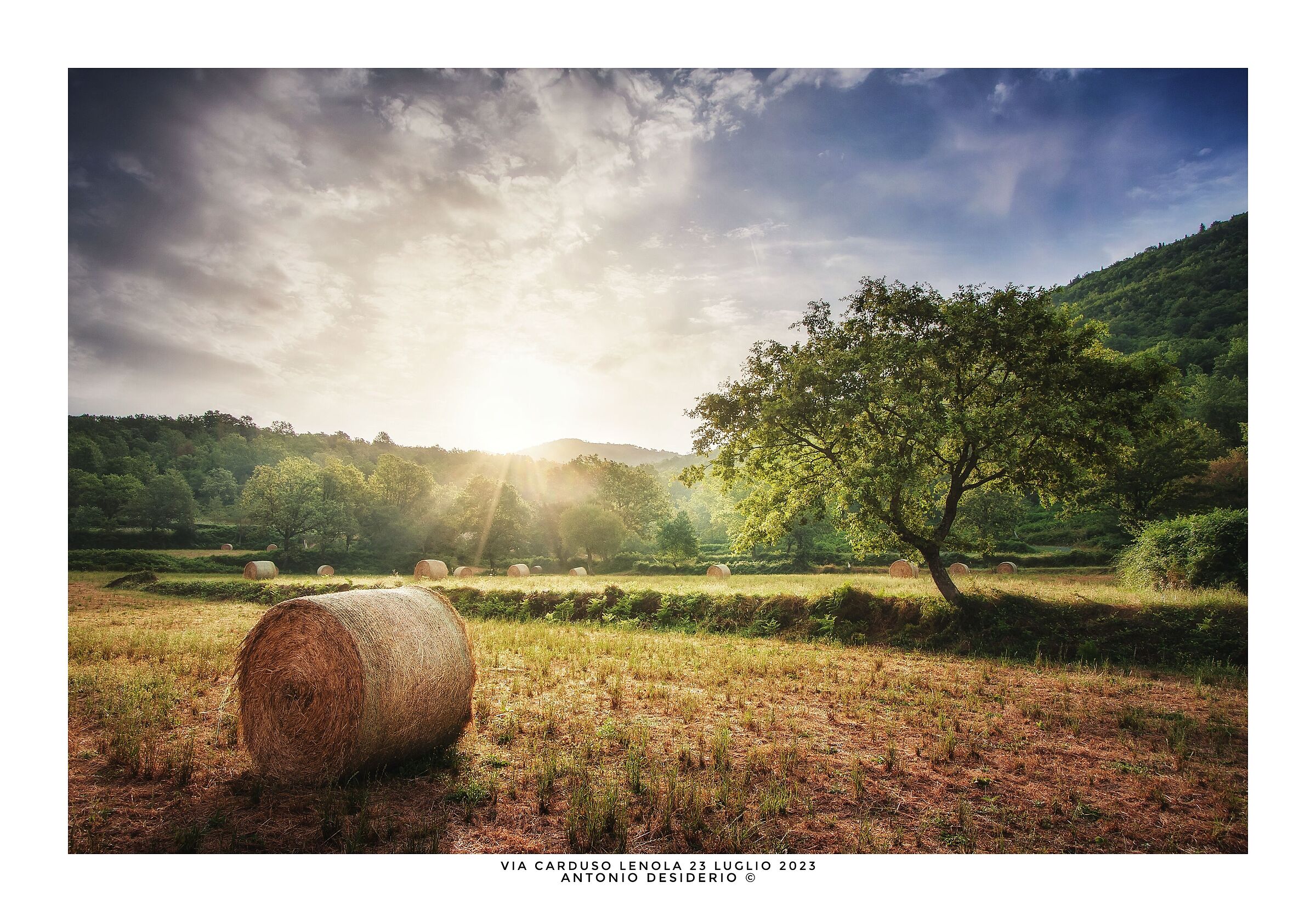 The quiet of a new day that is born