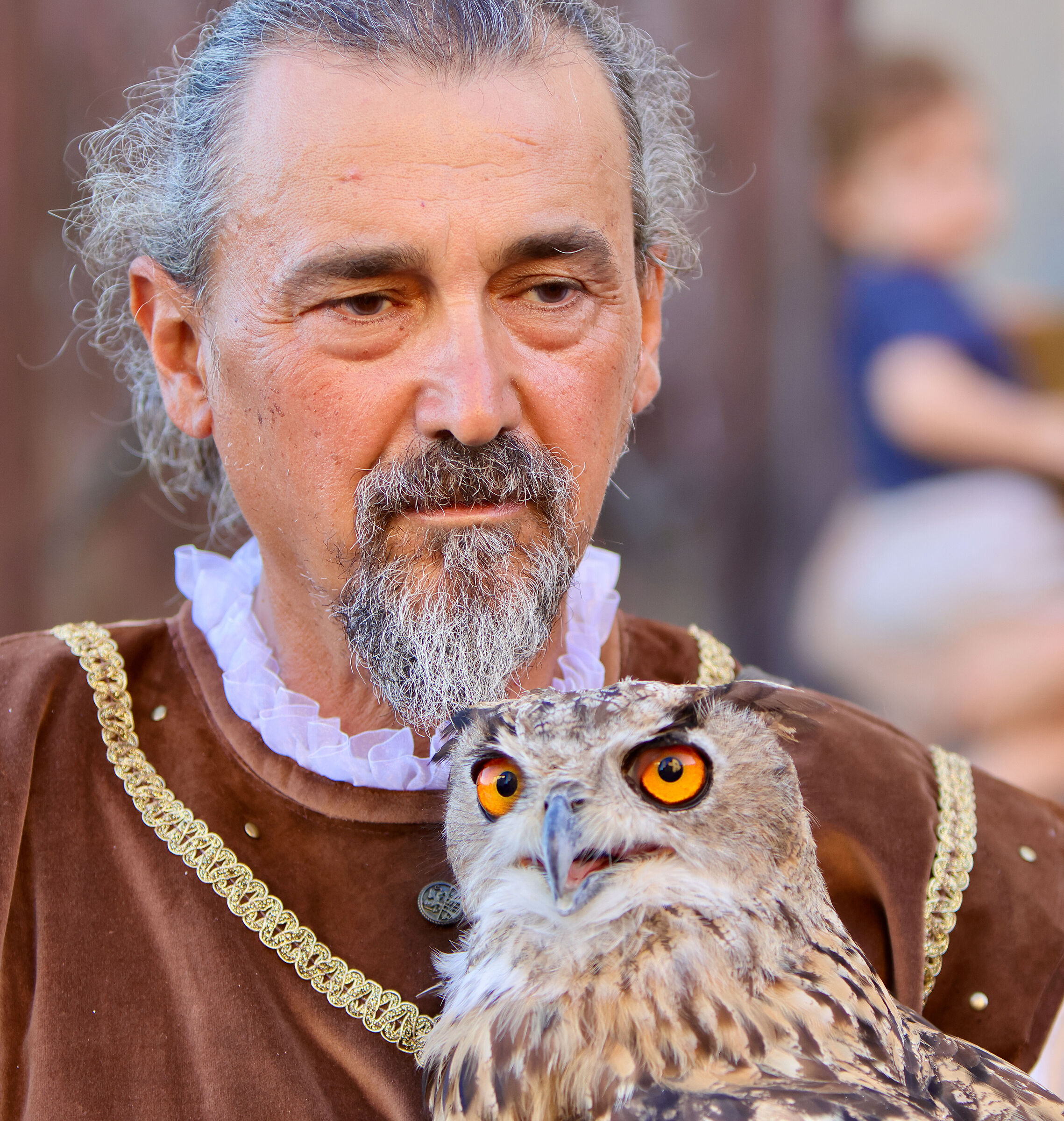 Medieval Laterina the Falconers of Valdarno