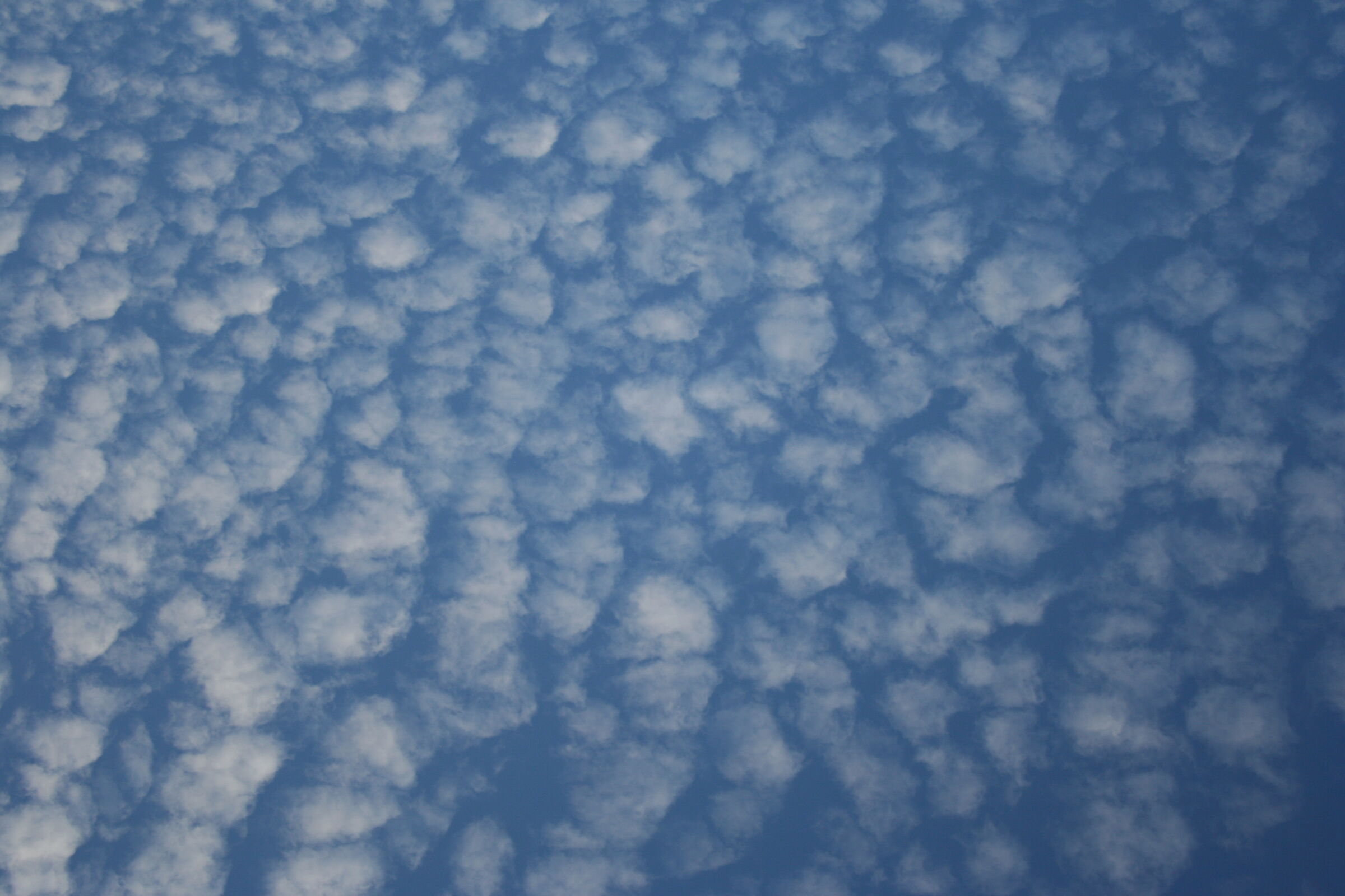 Naturale o astratto?