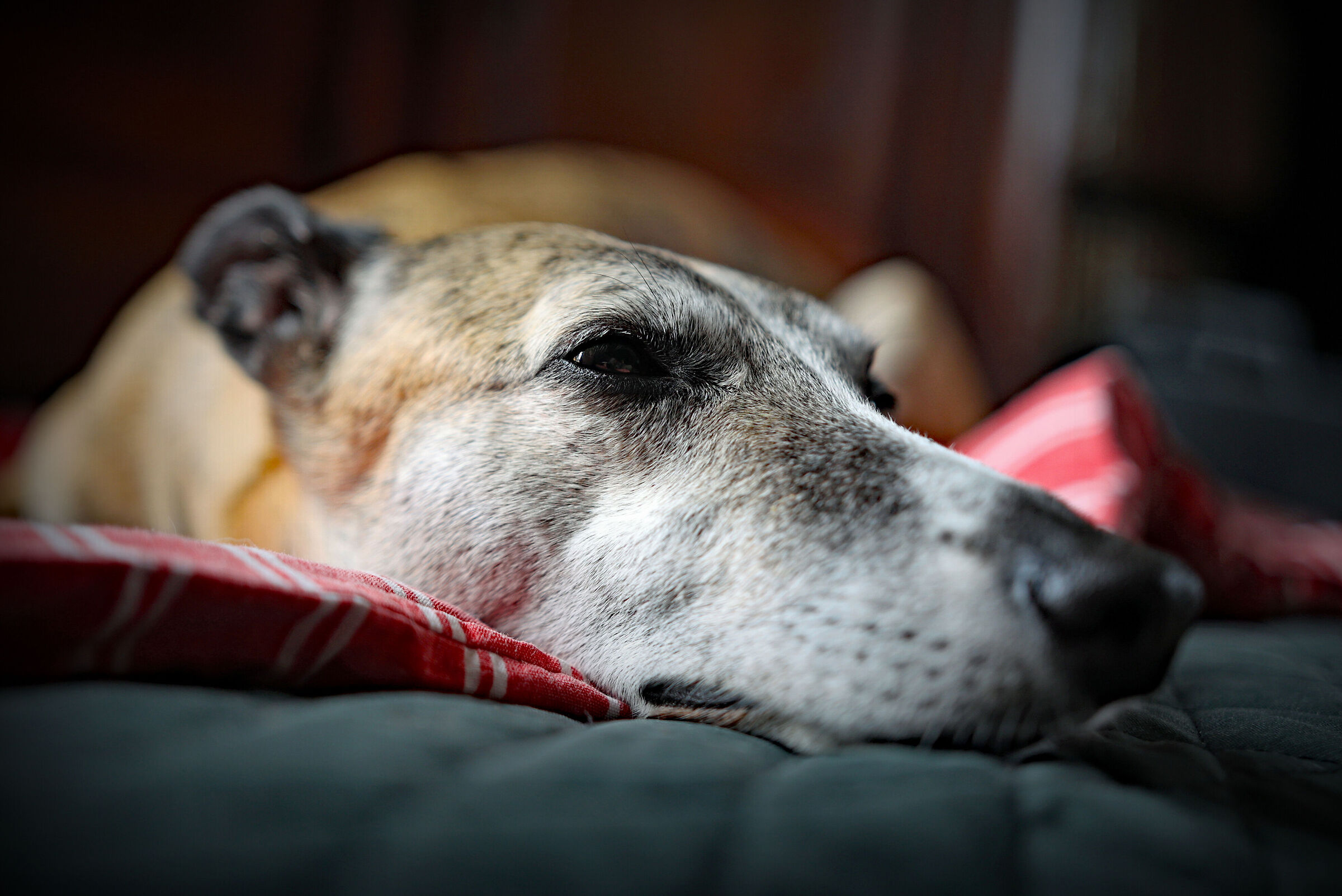 Primi scatti con il 18-35mm f/1.8 Art