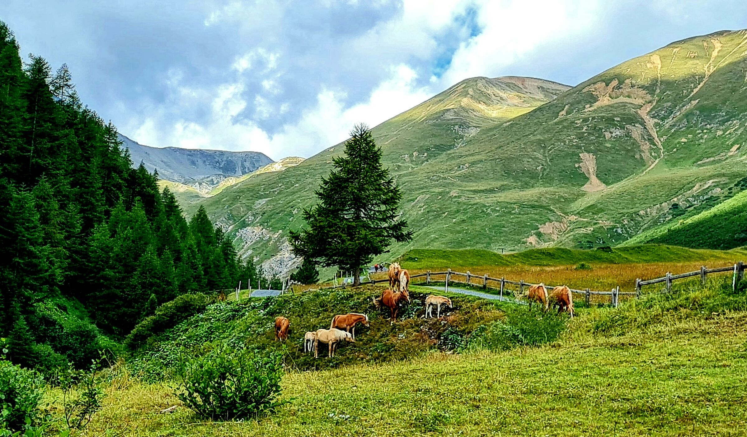 Paesaggio