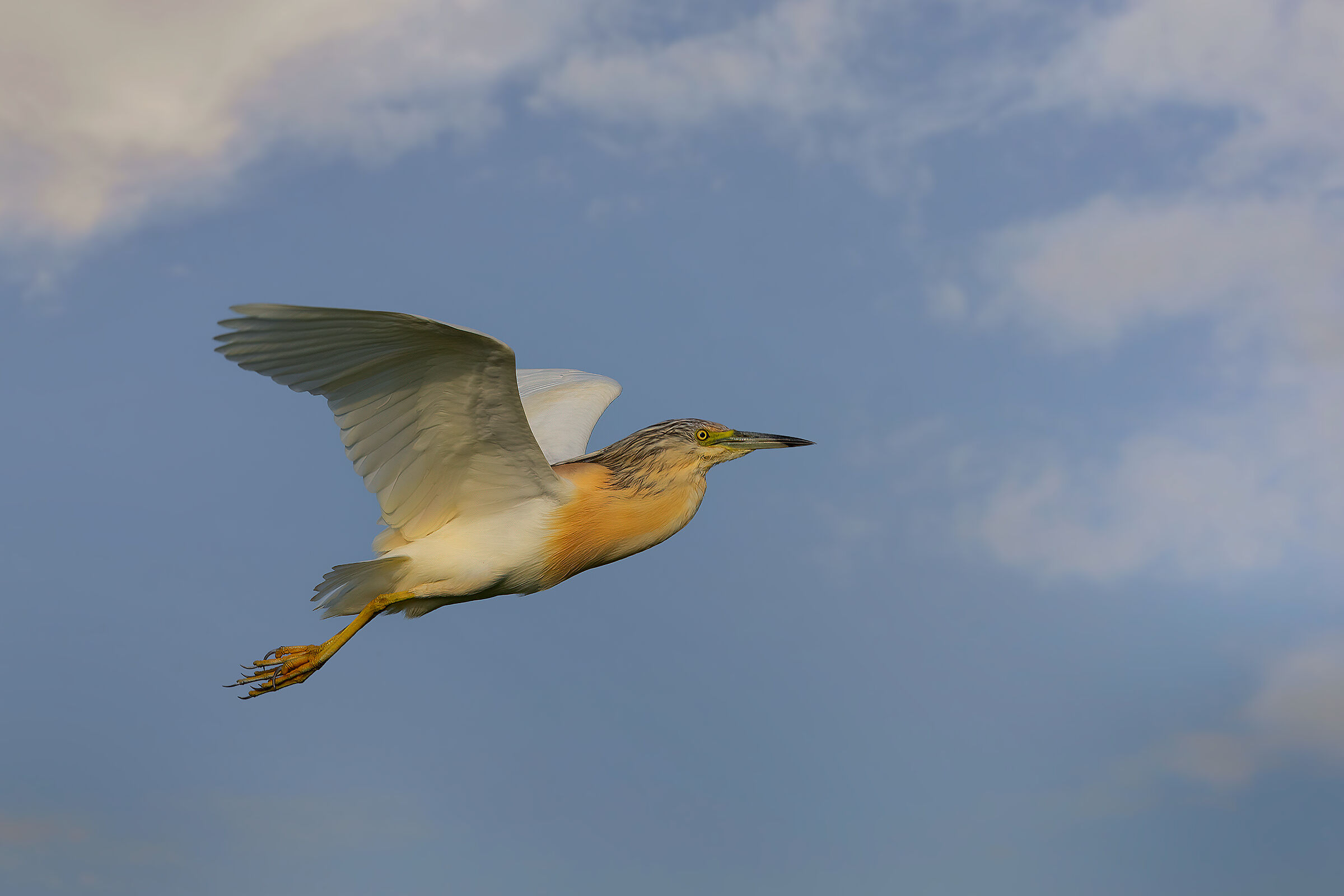 Sgarza incorniciata dalle nuvole