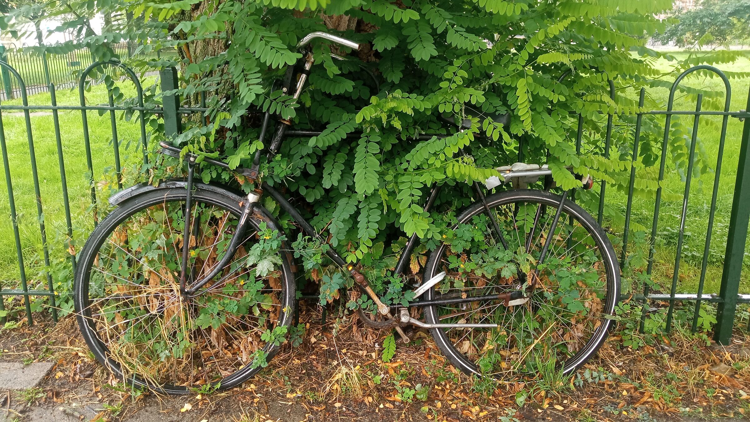 In the end, nature wins