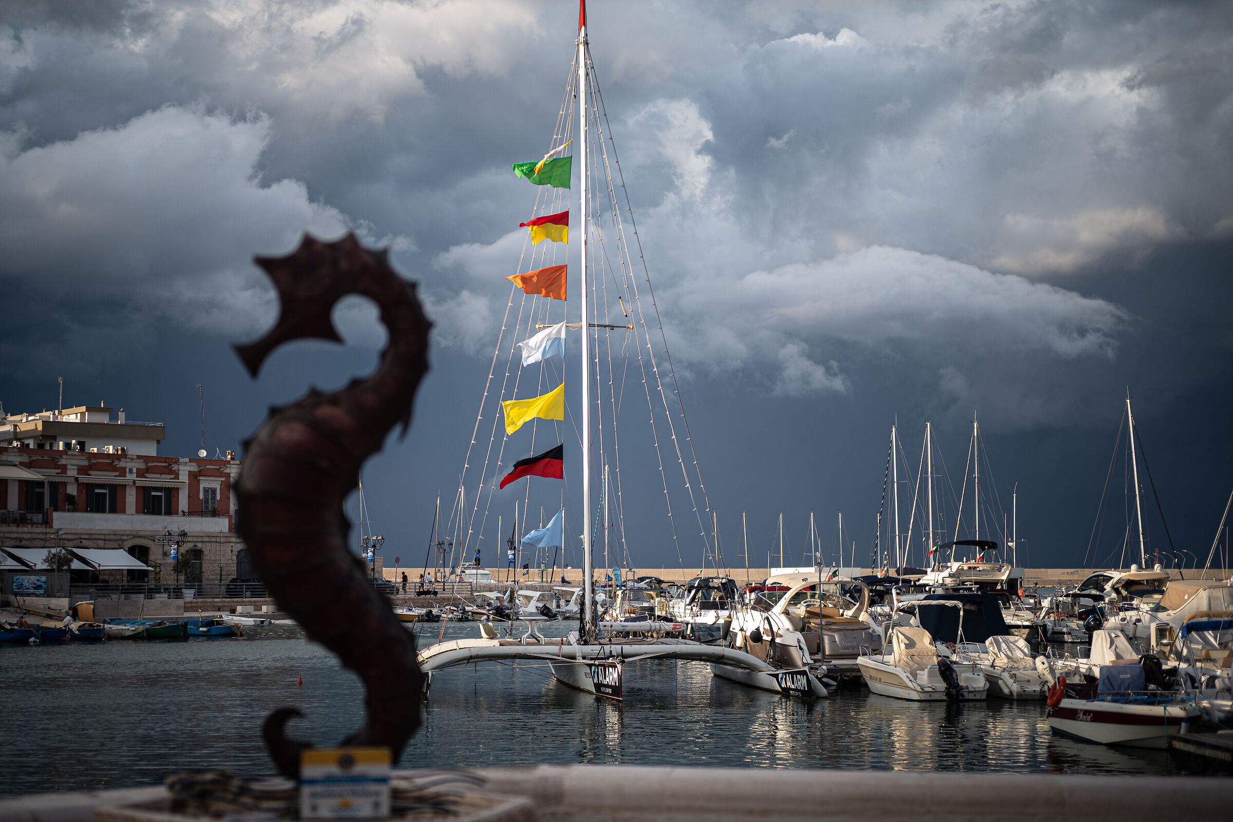 Porto di Bisceglie