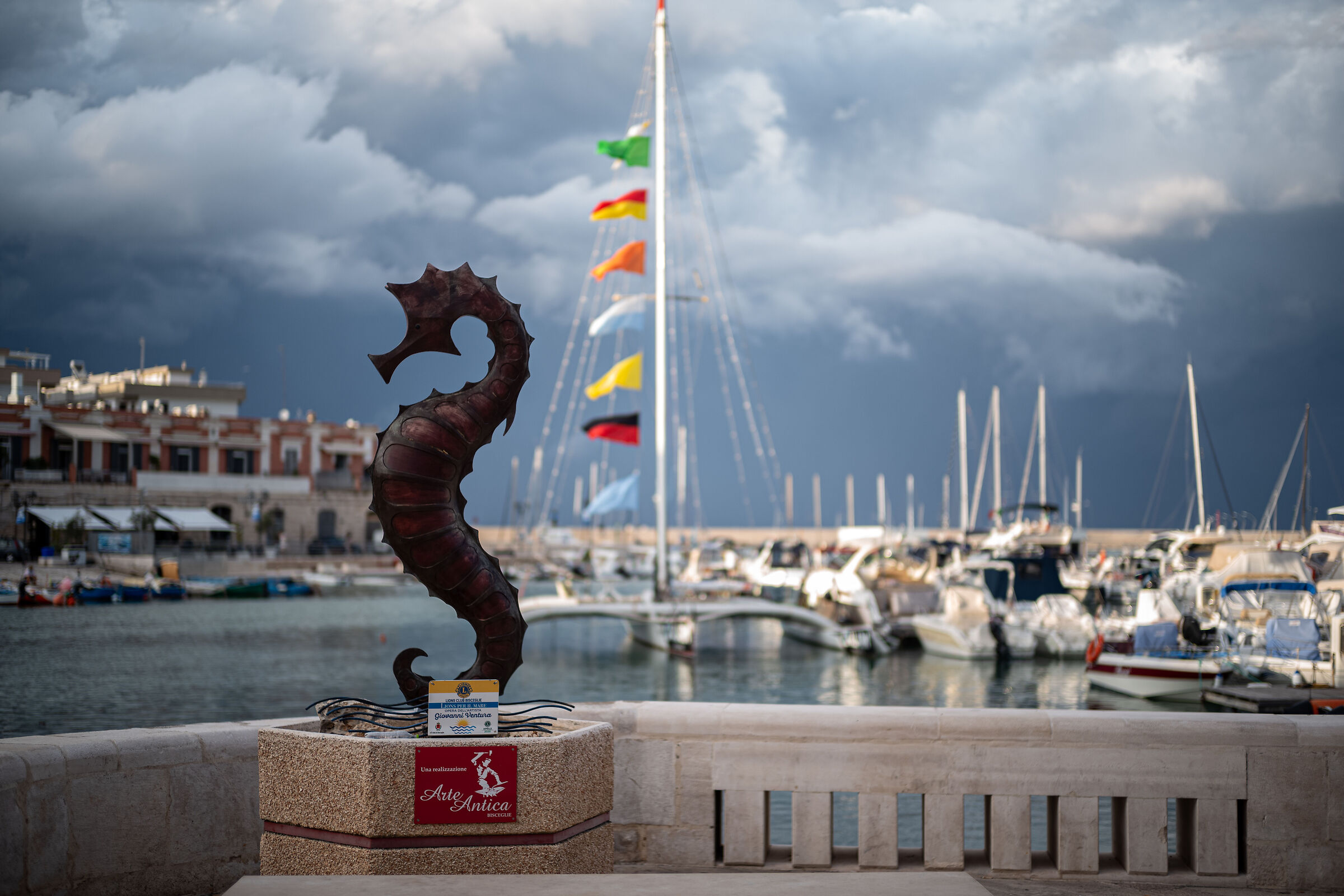 Porto di Bisceglie 3