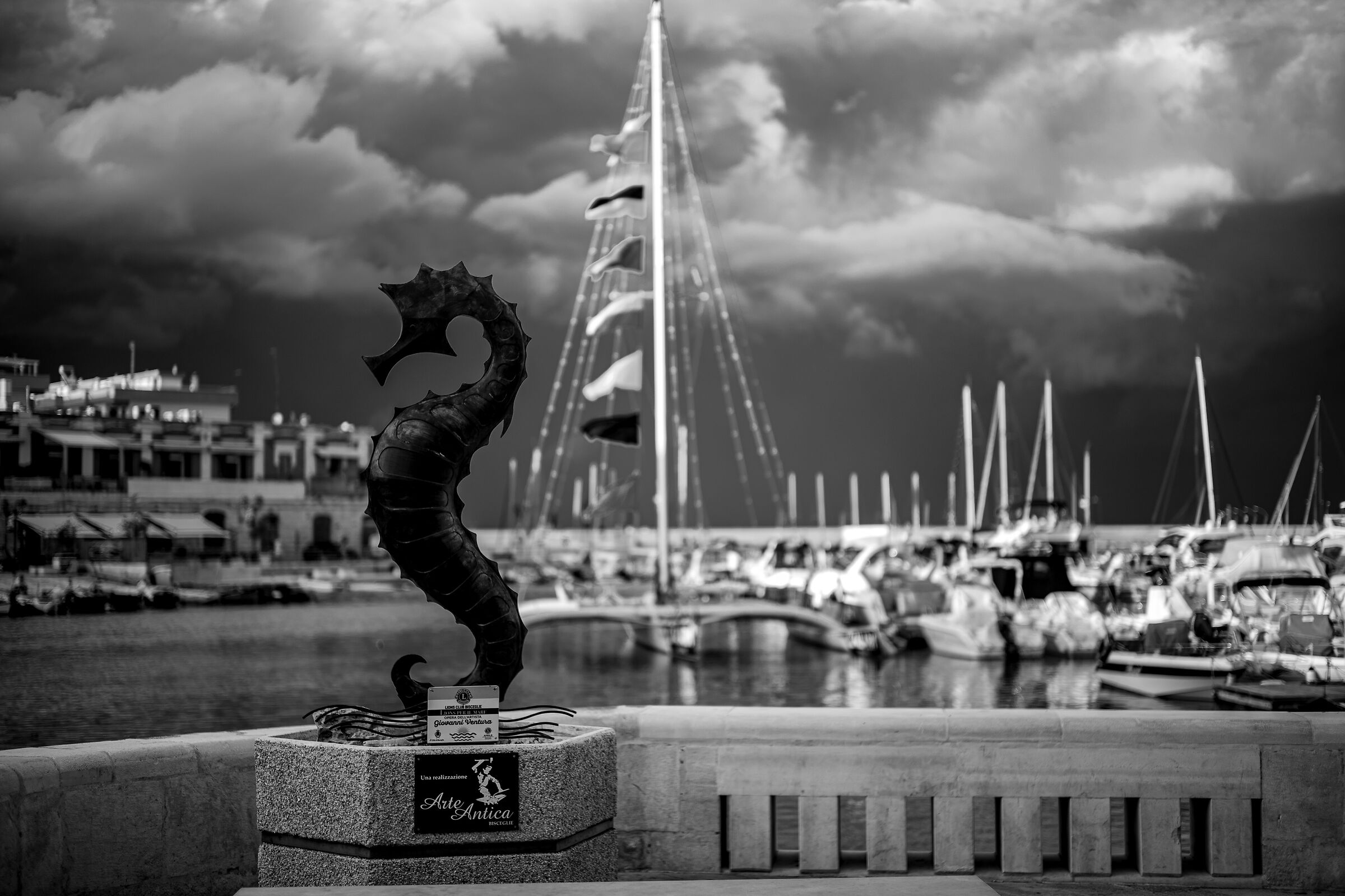Port of Bisceglie 5