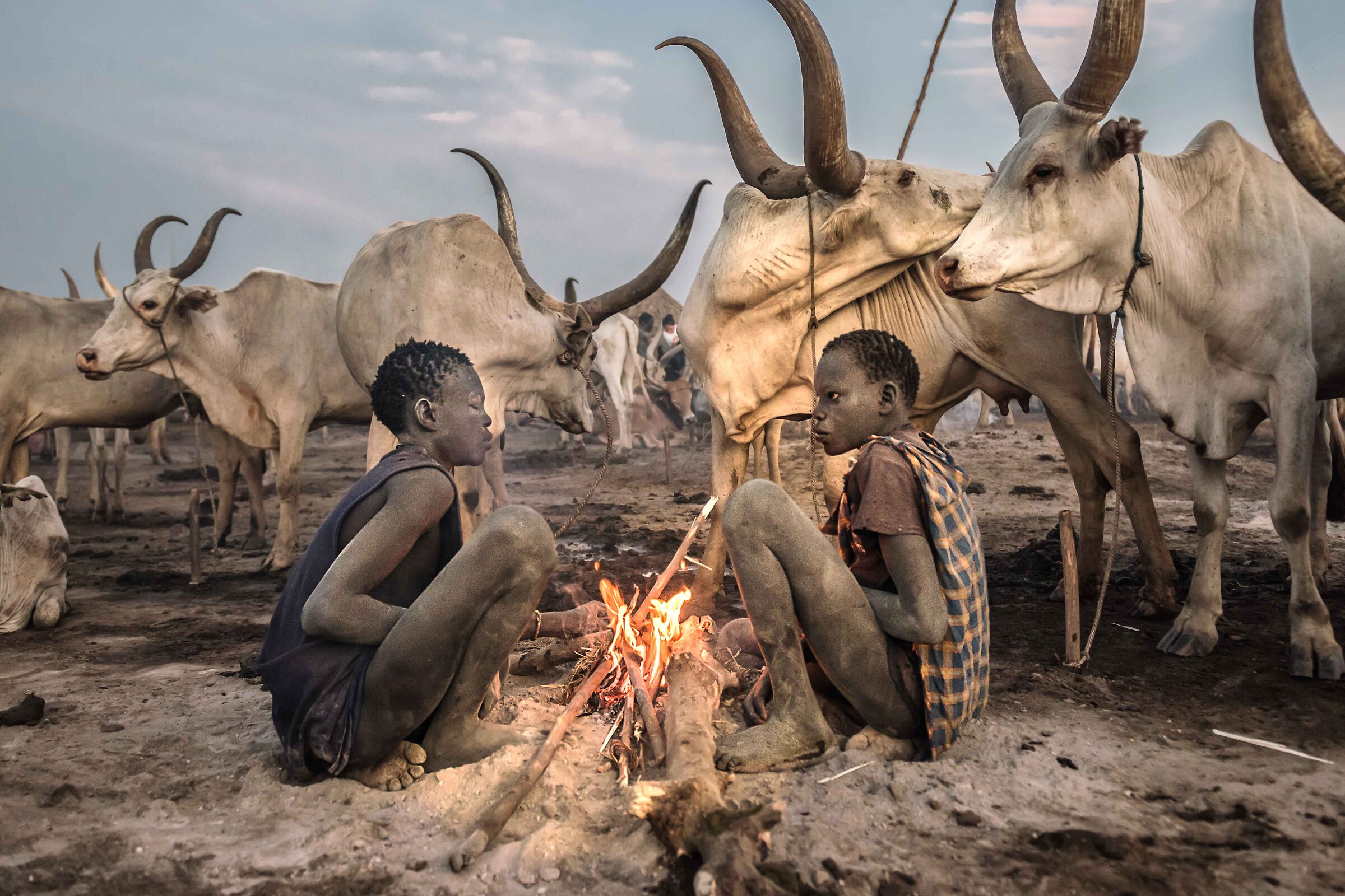 Life in the Cattle Camp