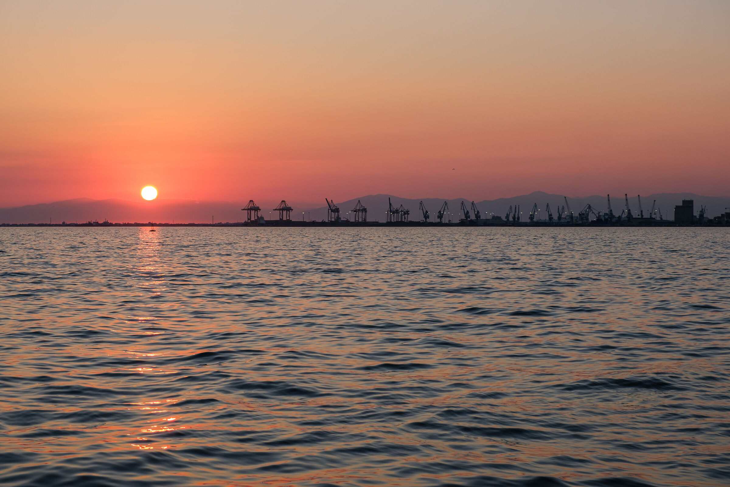 Crane at sunset - Thessaloniki