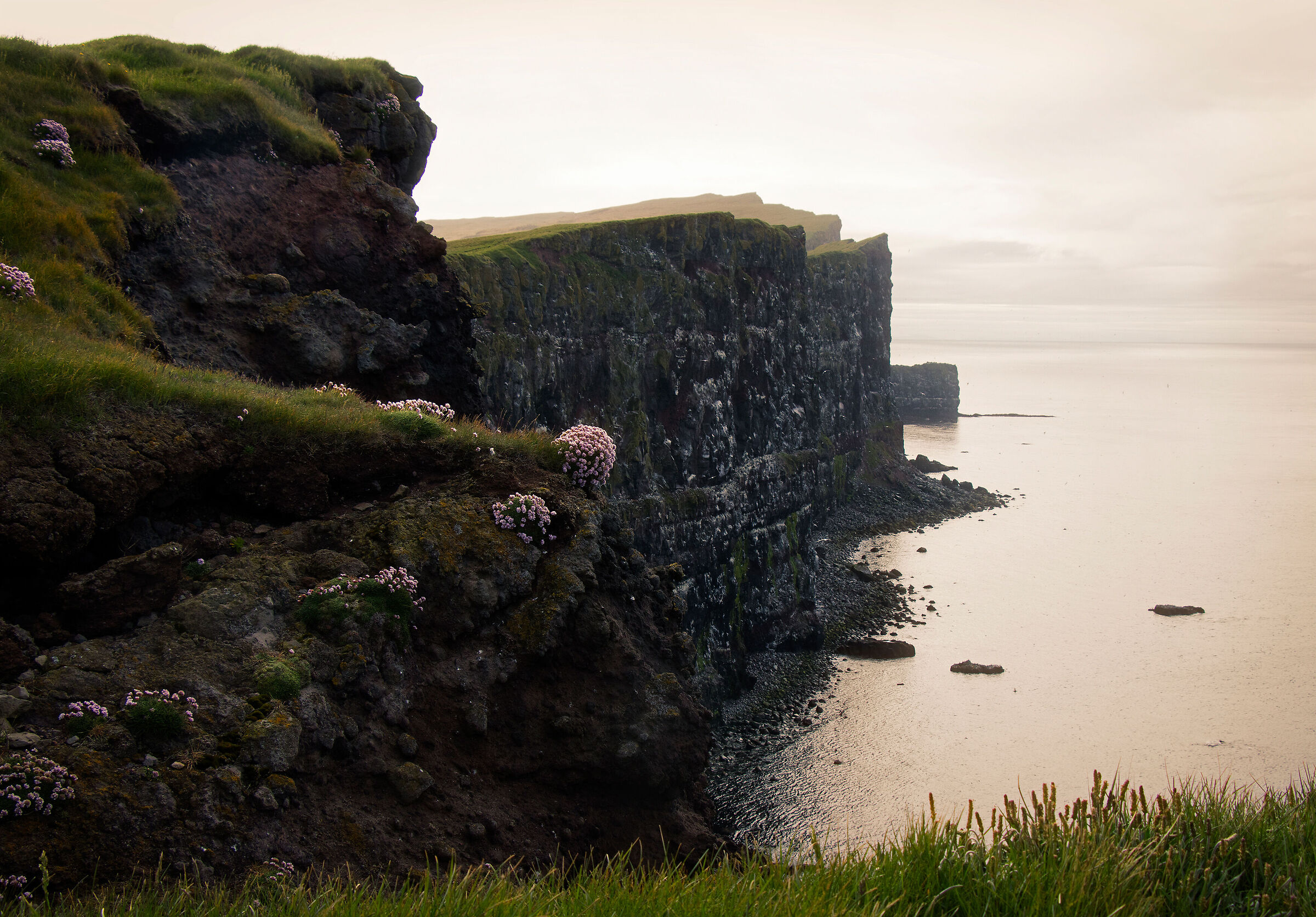 Latrabjarg Cliffs, Westfjords