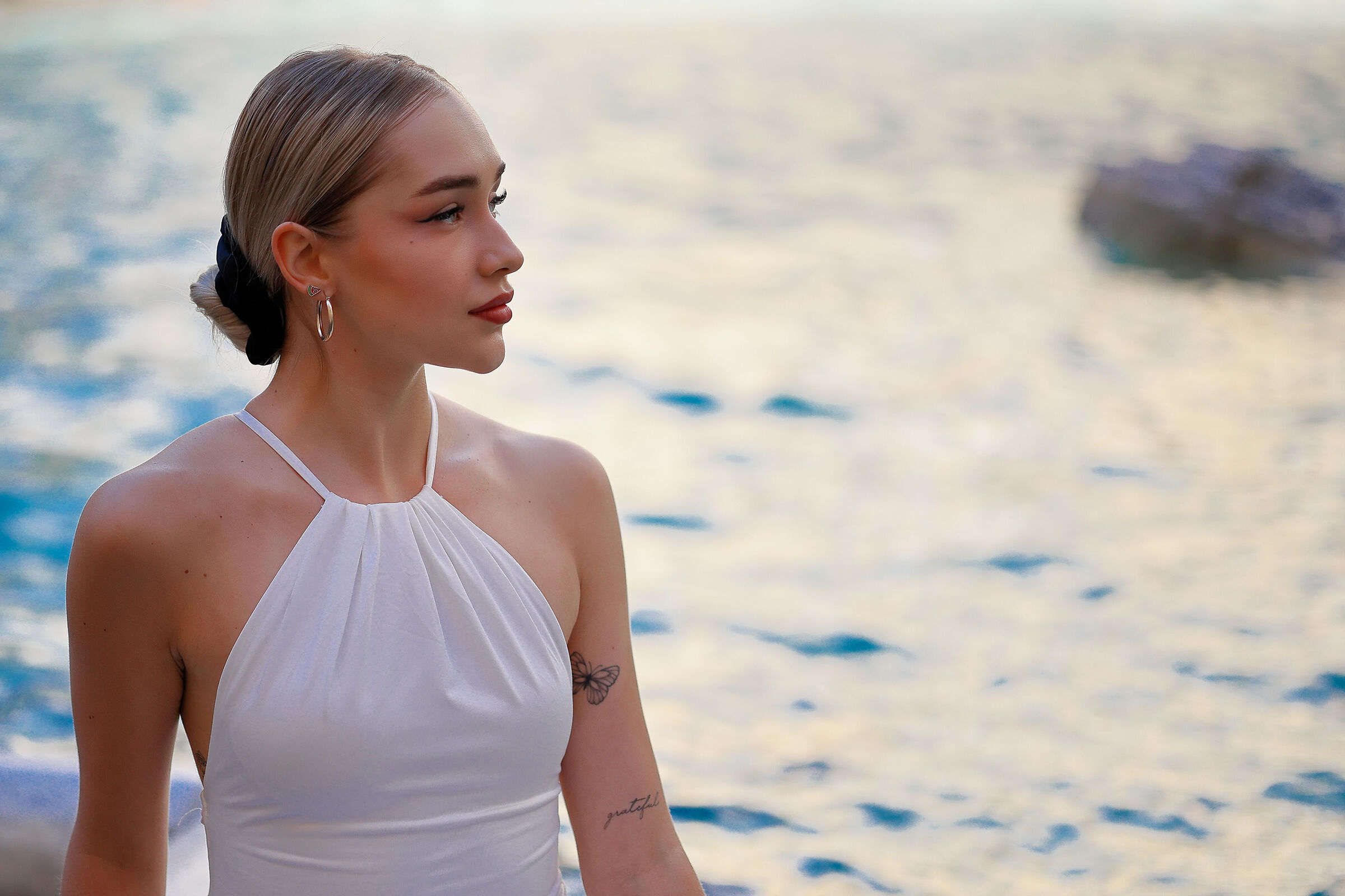 A butterfly on the sea