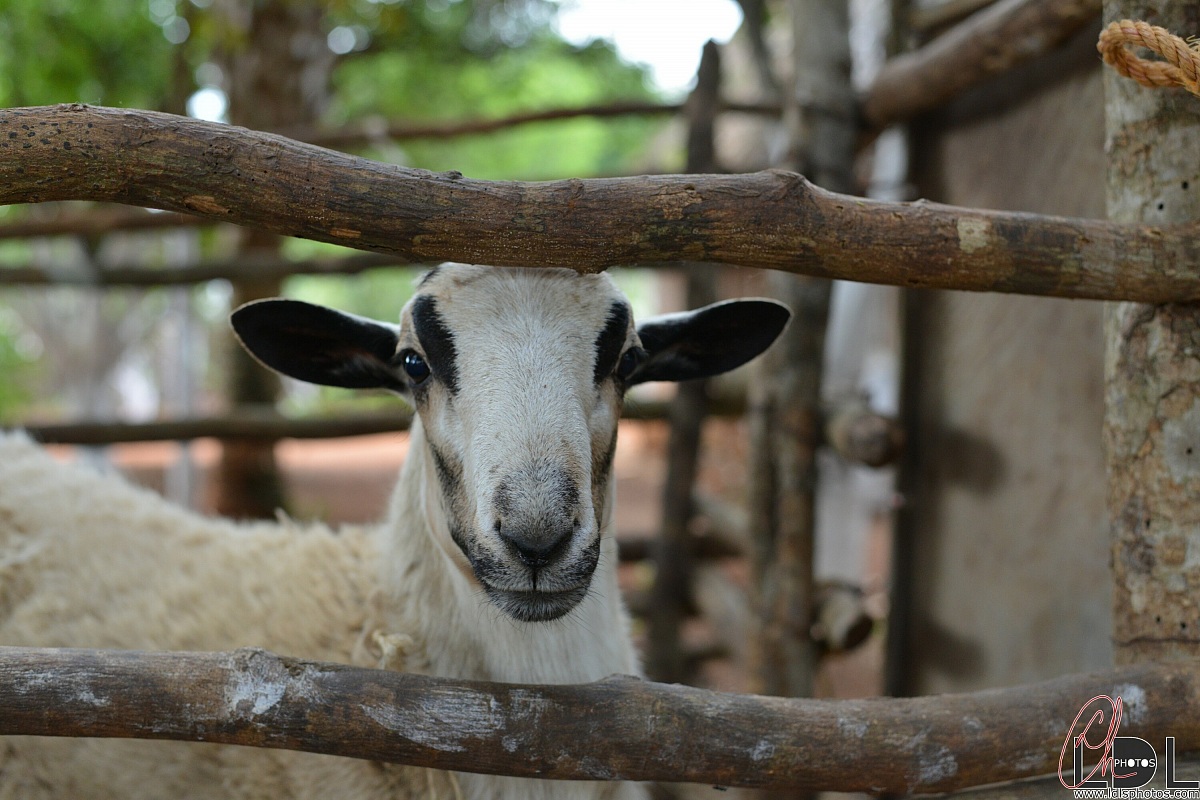 Fai un bel sorriso e...