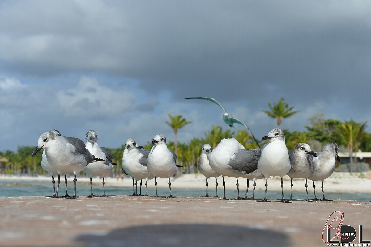 Tutti vicini vicini...