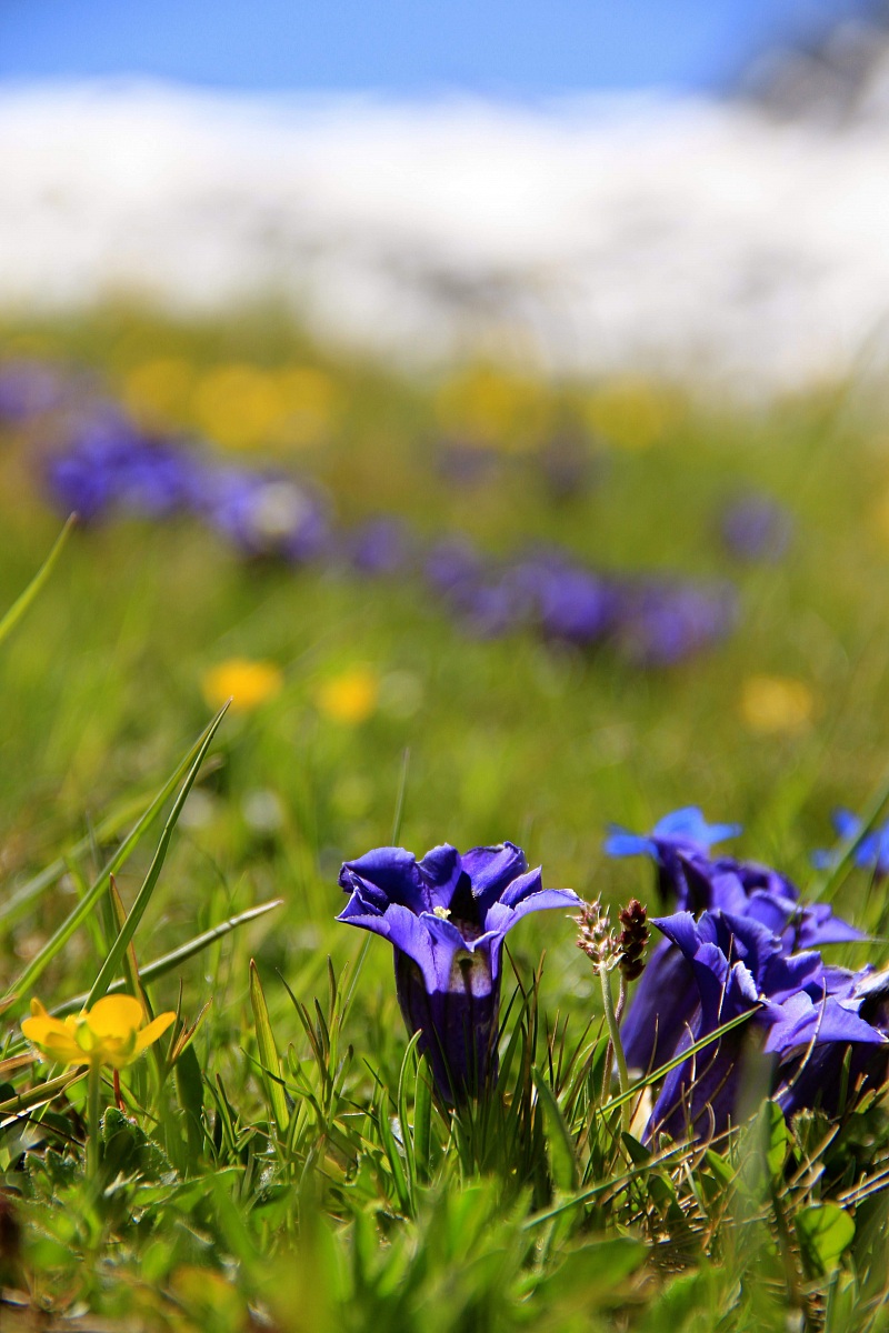 the real spring in Val Thures