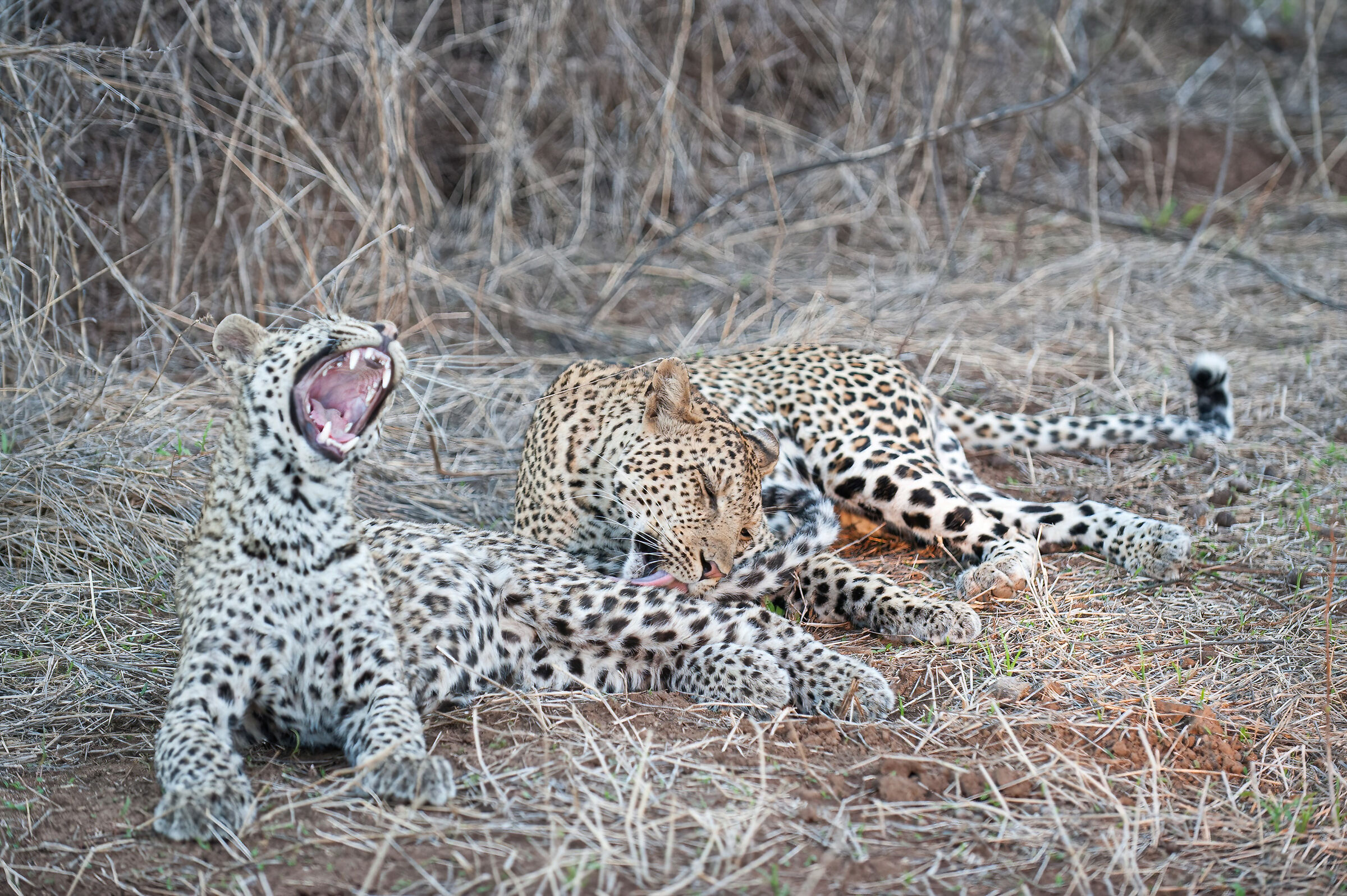 ...ahhhh che goduria....