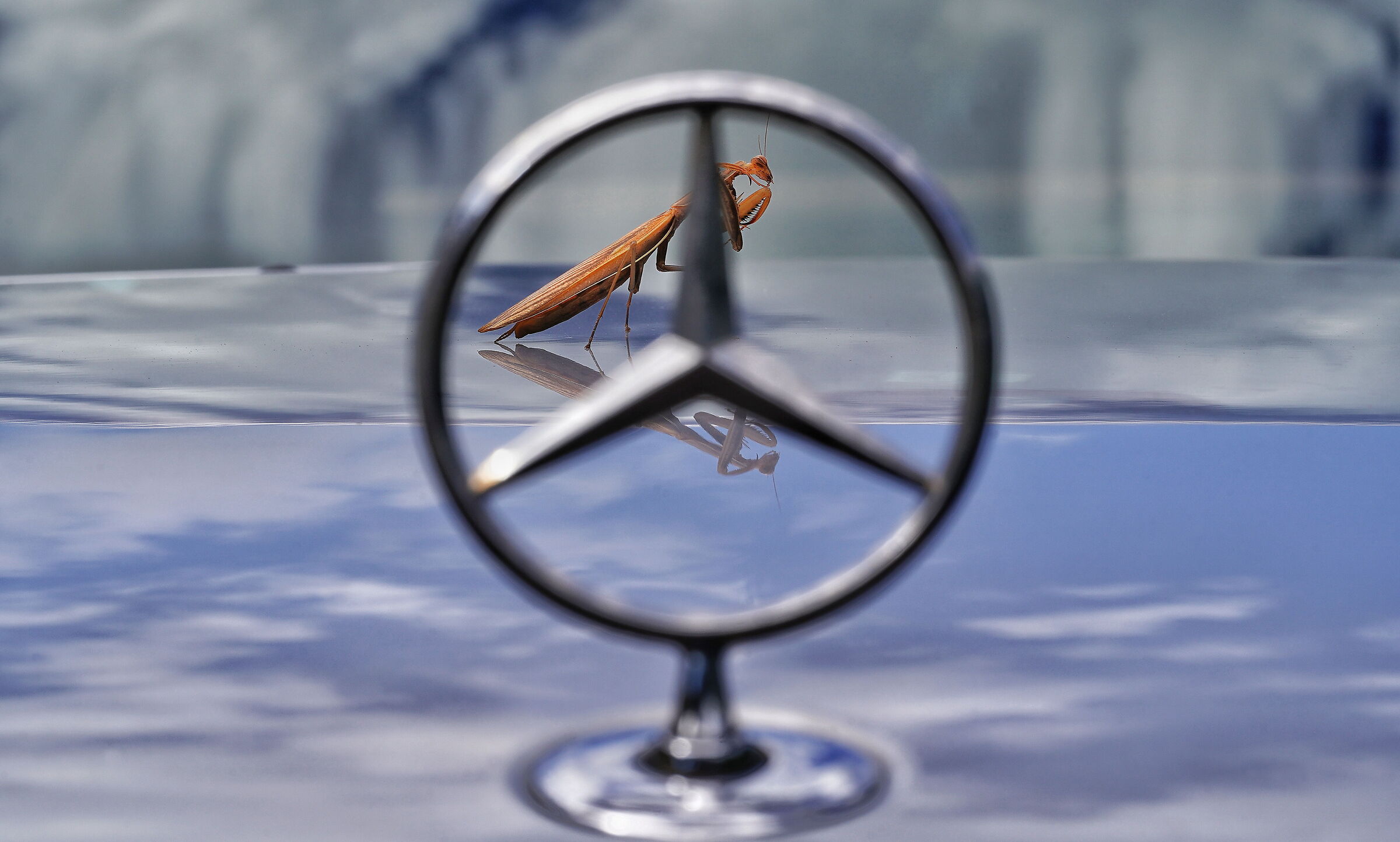... In the crosshairs...