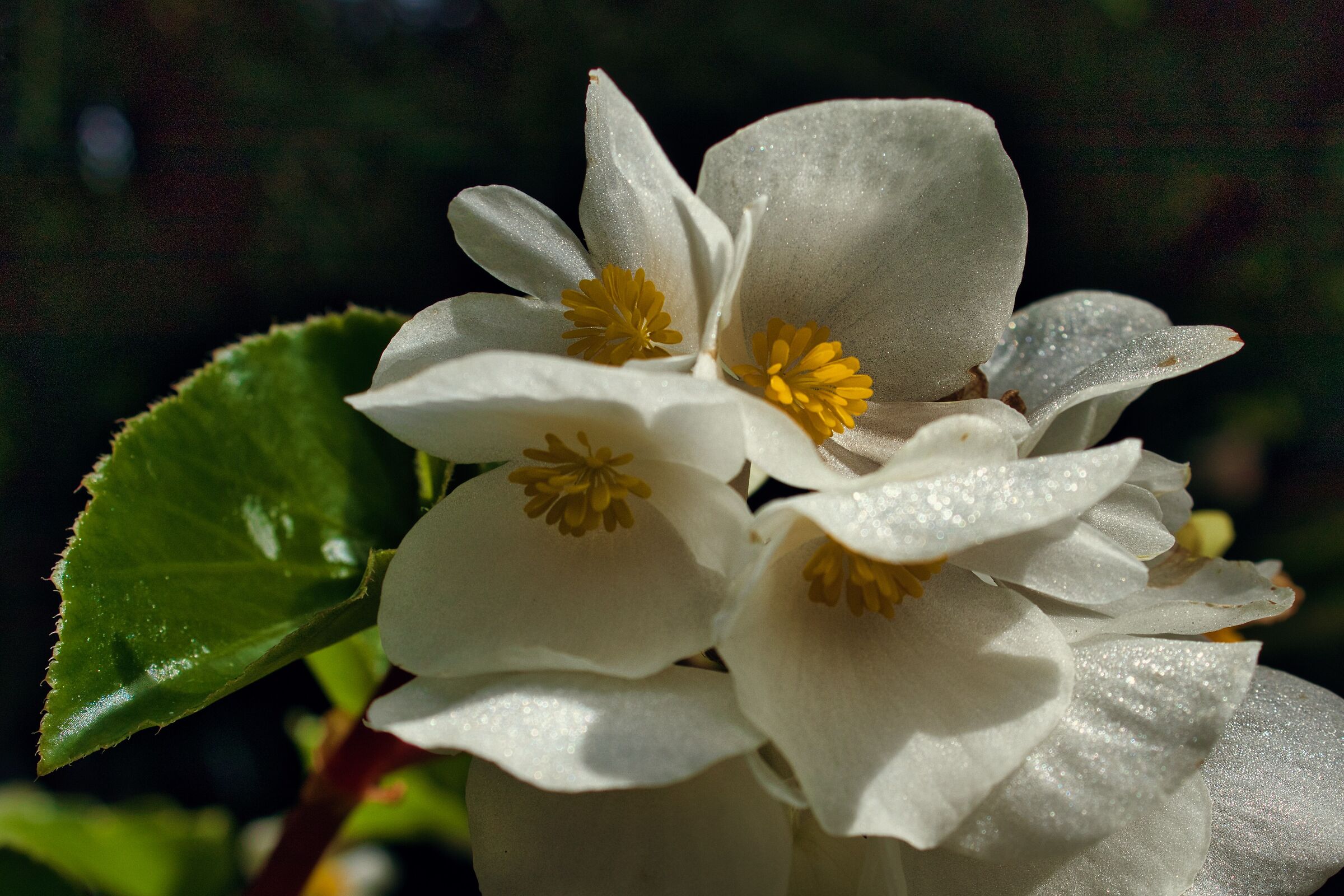 Untitled Photo