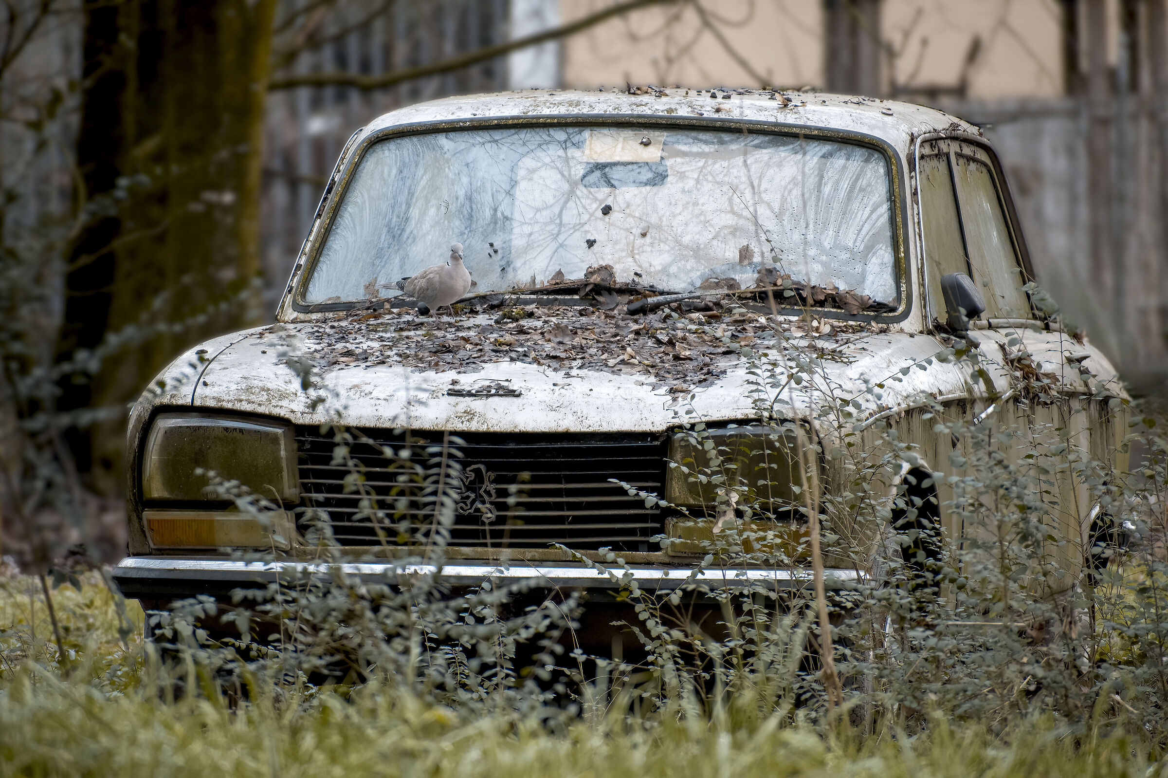 Vecchia auto abbandonata..