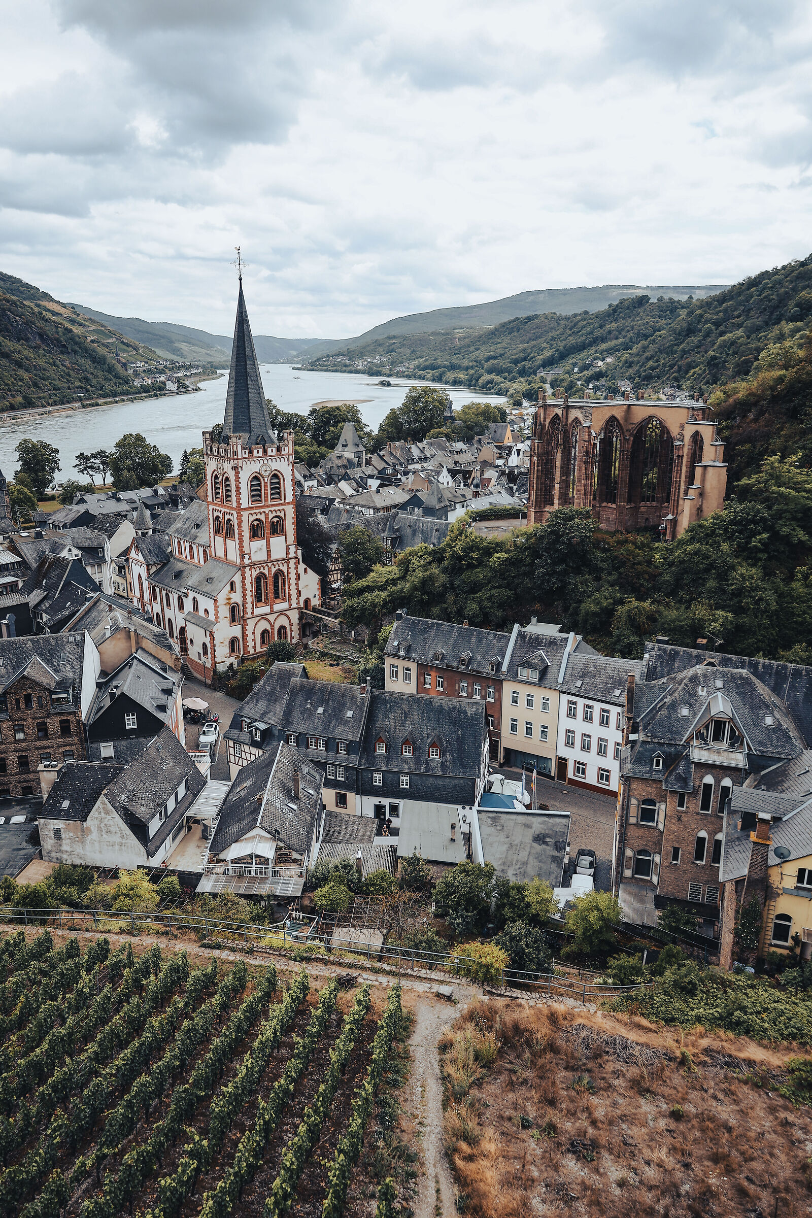 Bacharach