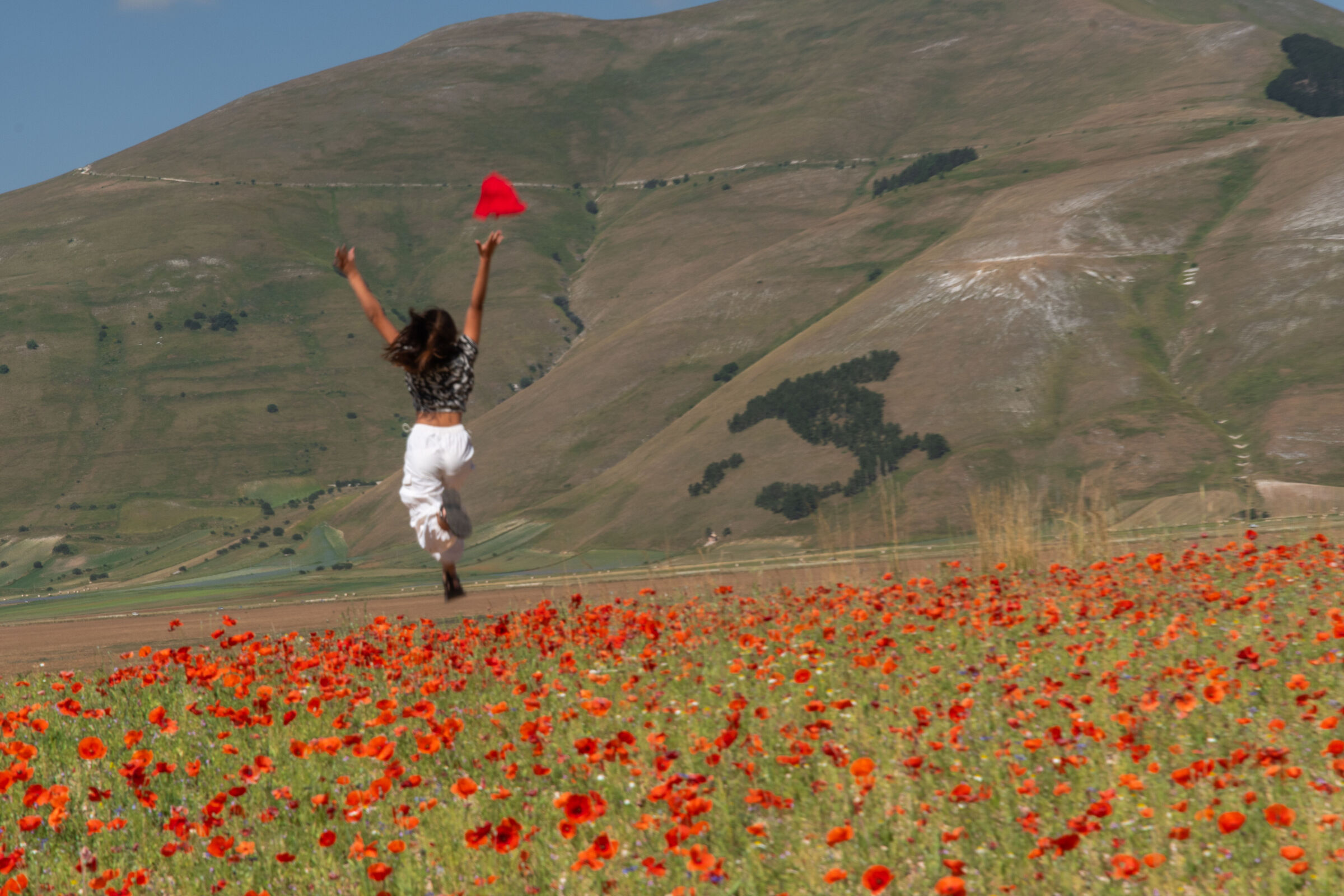 fioritura a Castelluccio di Norcia