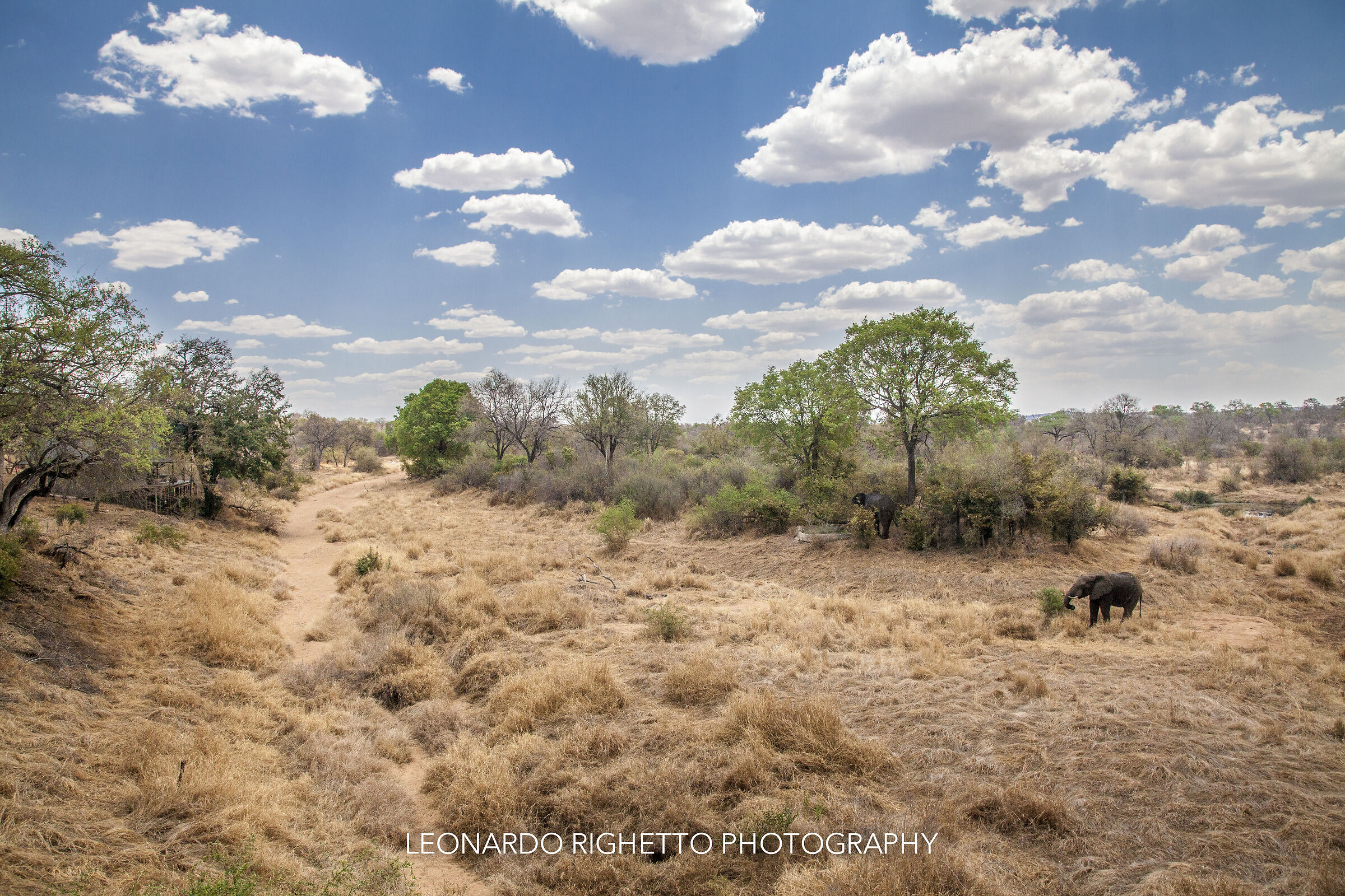 Makalali Private Nature Reserve