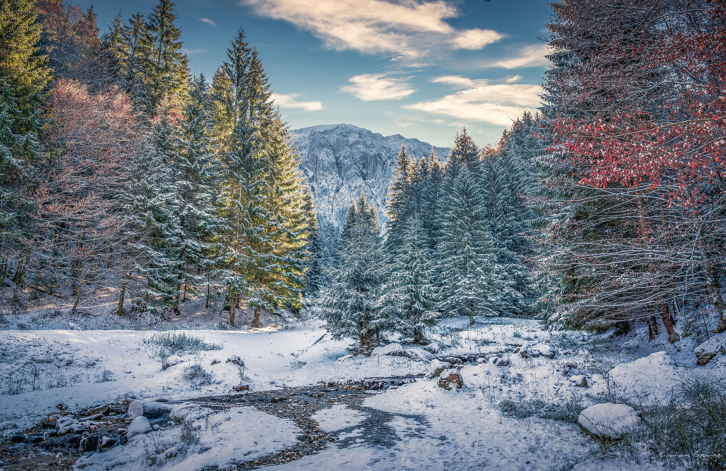 Quando l'autunno si arrende all'inverno