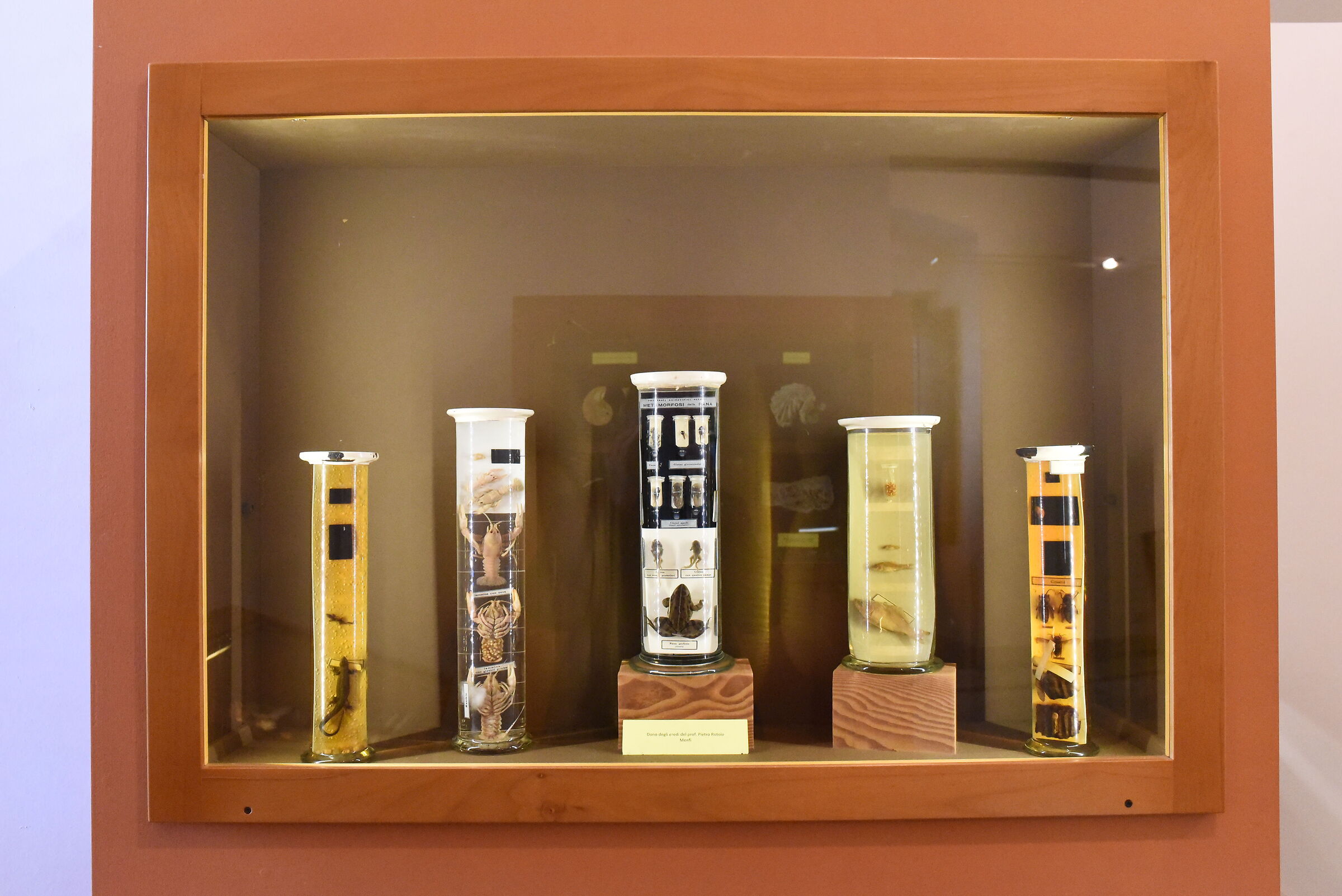 " ISO 12 thousand 800 ", Nikon 28 1.4 E ED, D 750