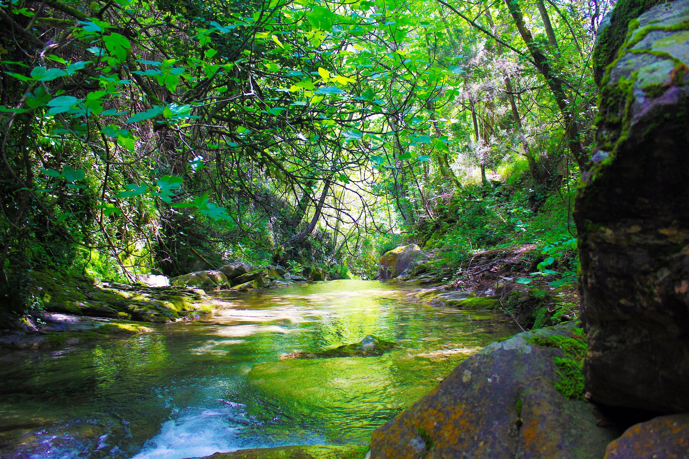 Laghetto di Lecchiore 2
