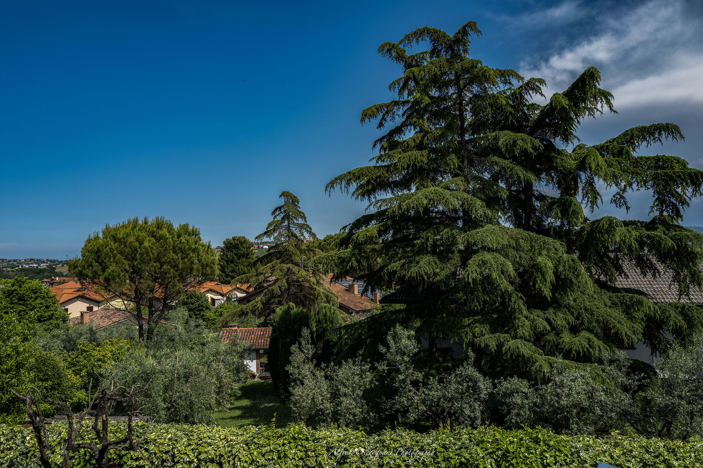 from my veranda trying the Q3