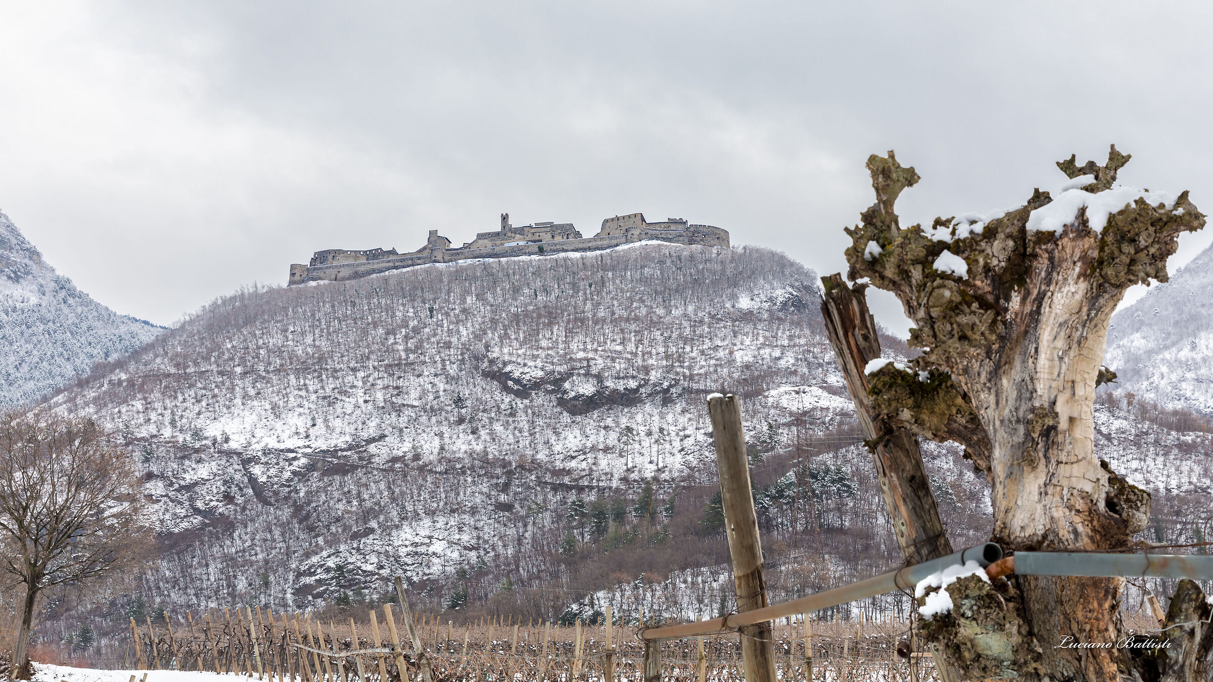 From the countryside