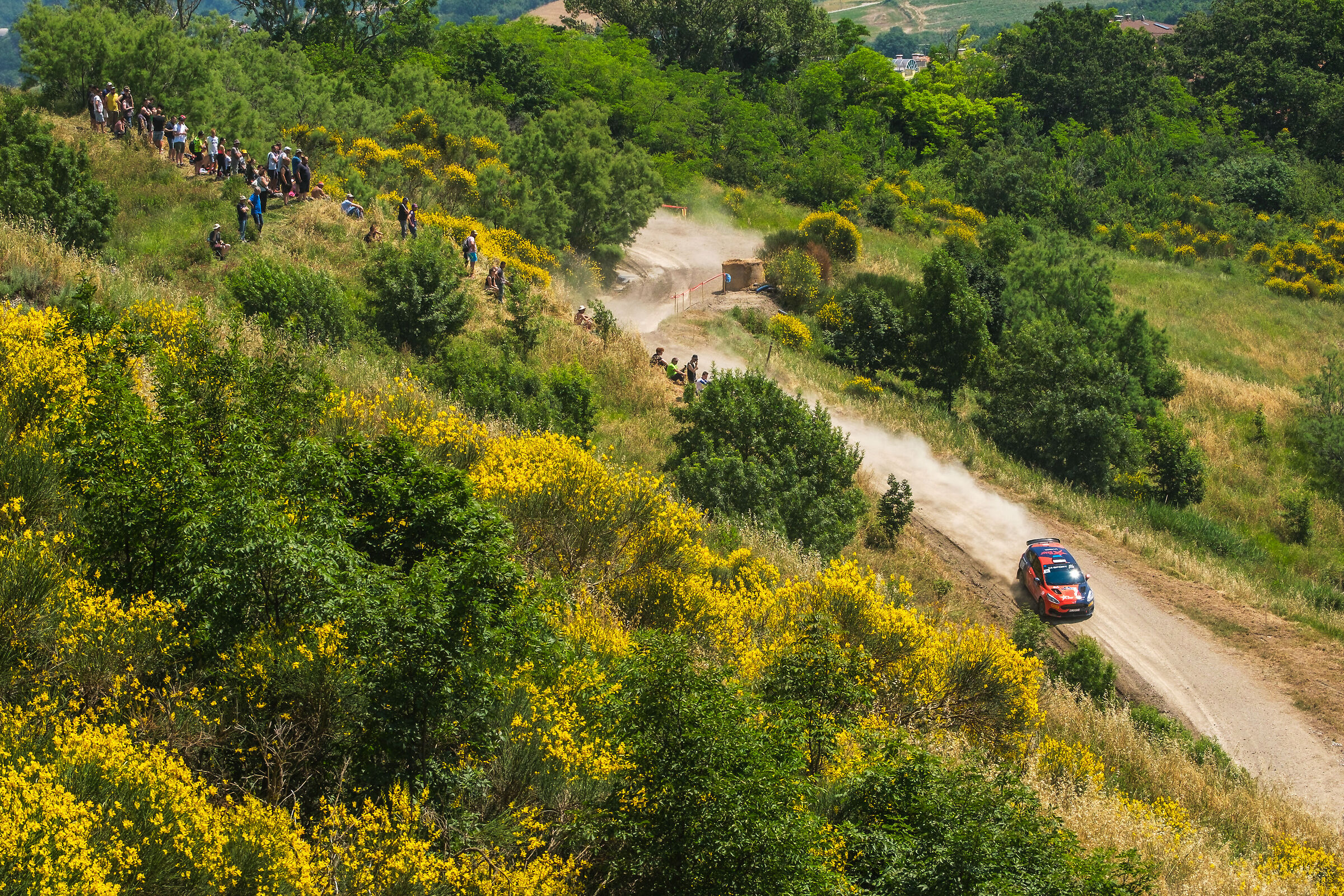 spettacolo in mezzo alle ginestre