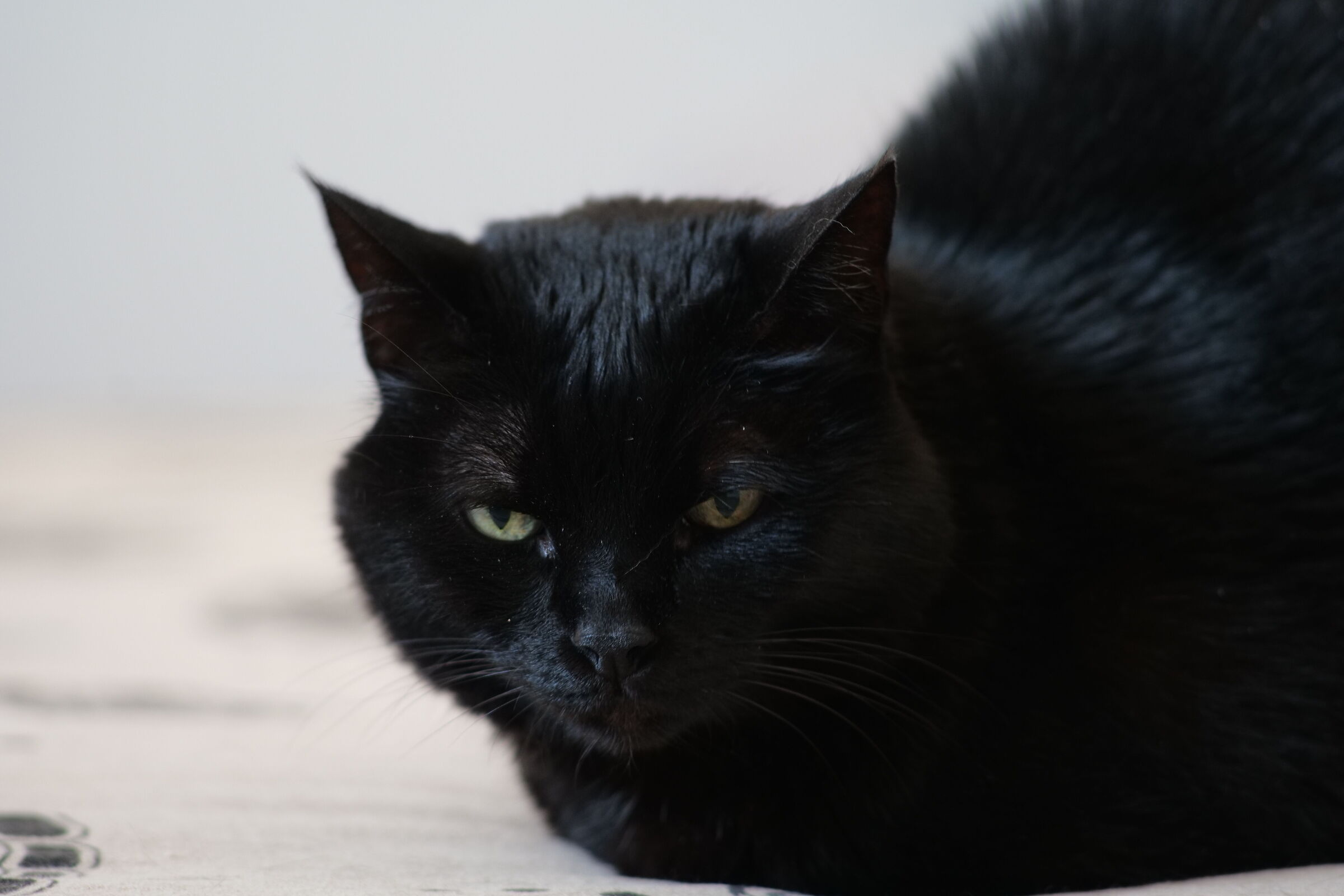 Panasonic S5 Nikon Ai 200 f 4