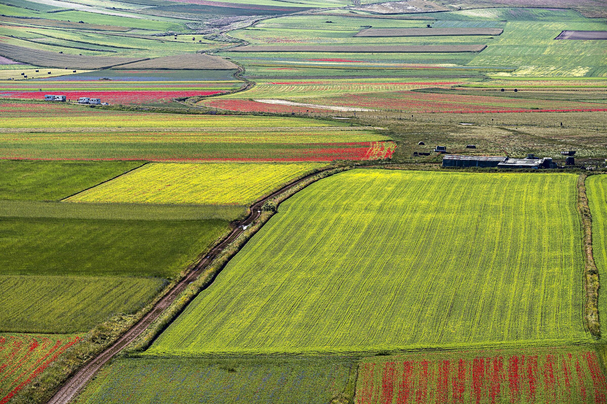 Castelluccio 9