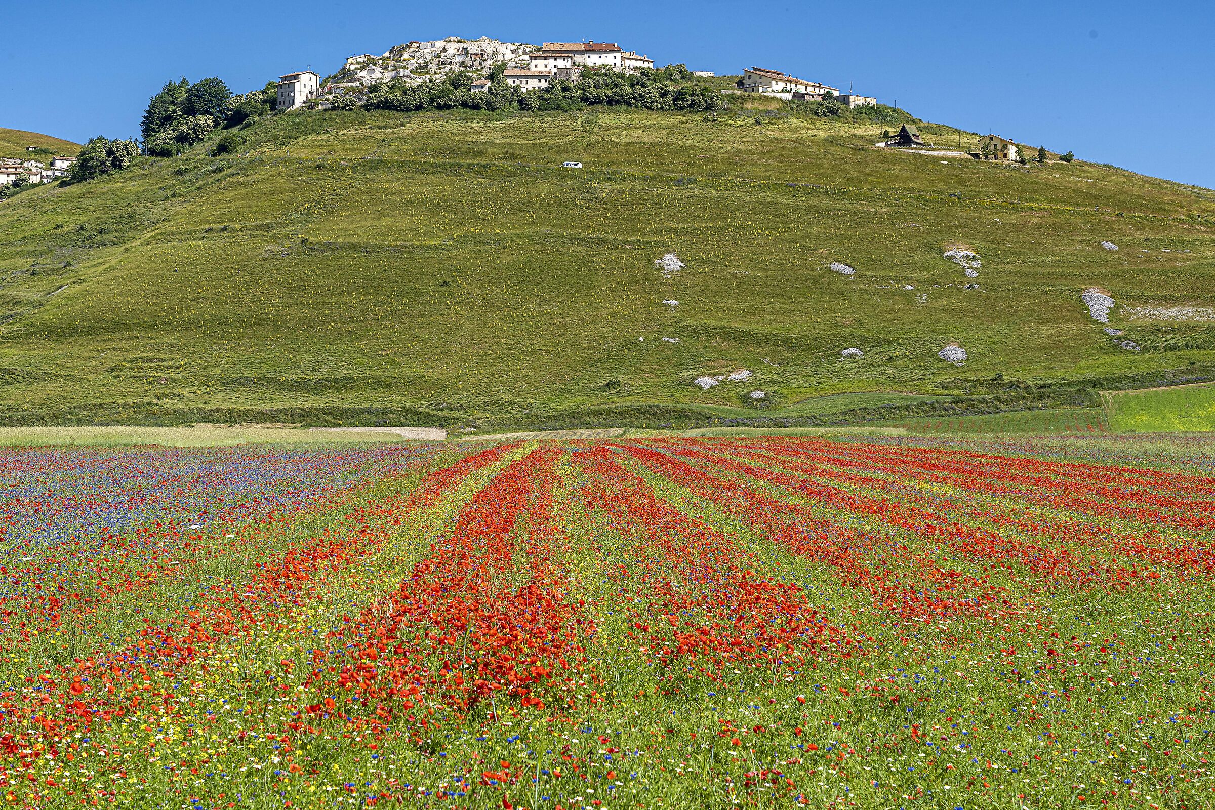 Castelluccio 13