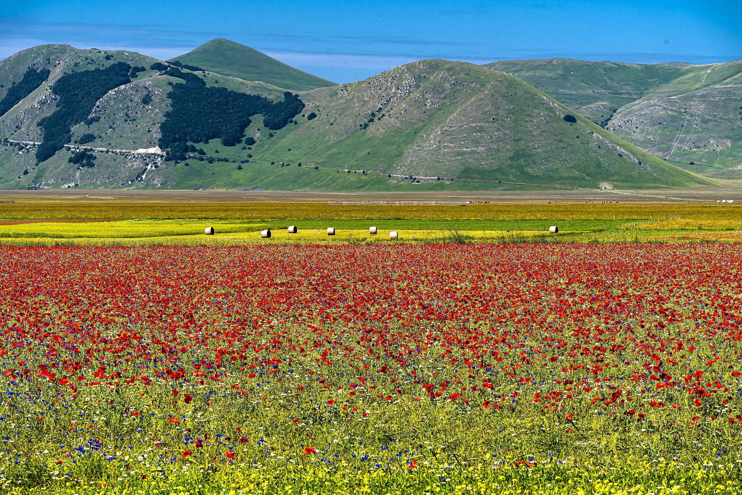 Castelluccio 16