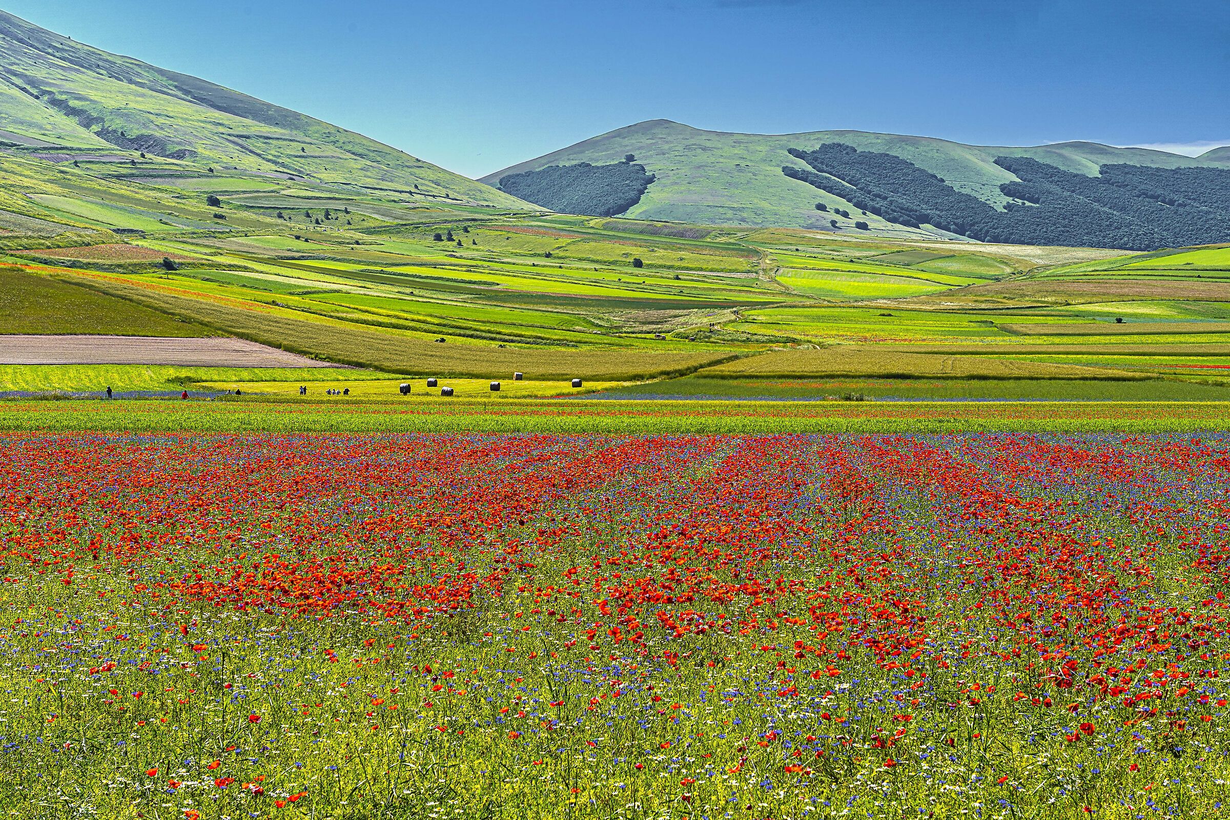Castelluccio 18