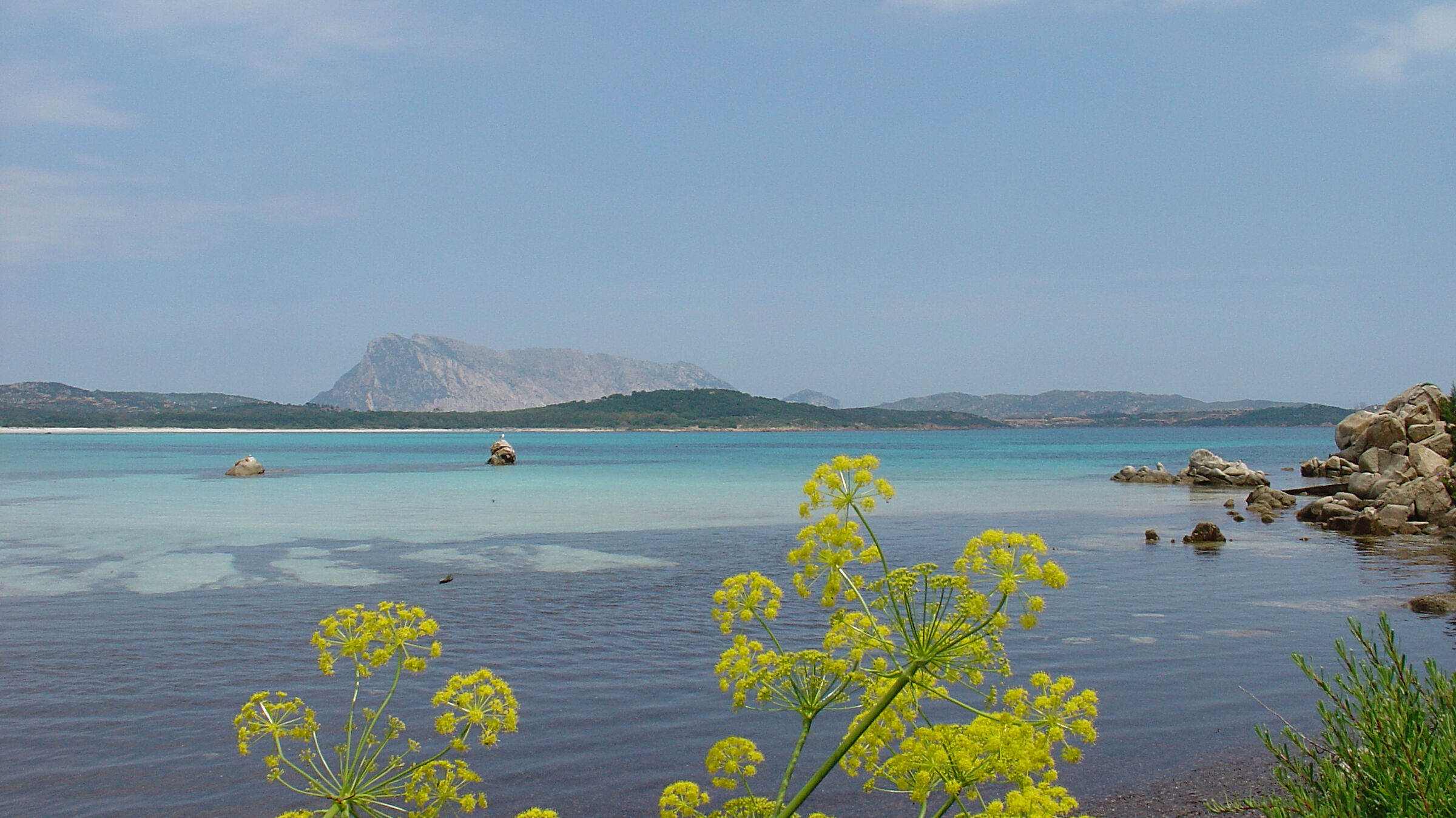 Cala Lu Impostu in spring