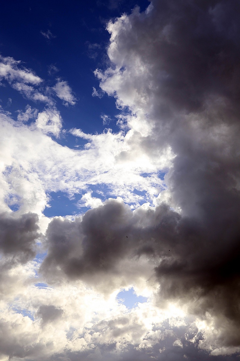 The creation .........