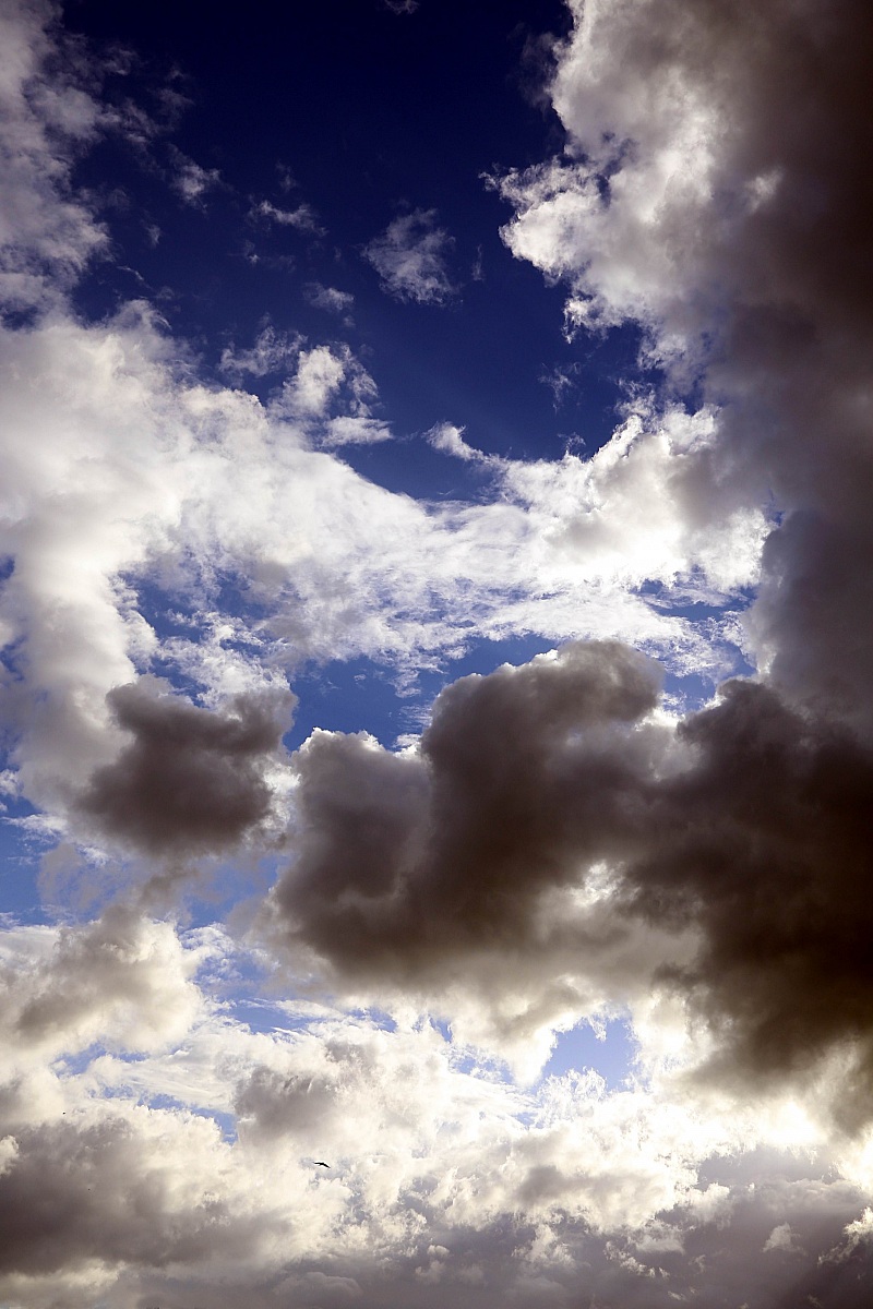 Go to the Paradise ......