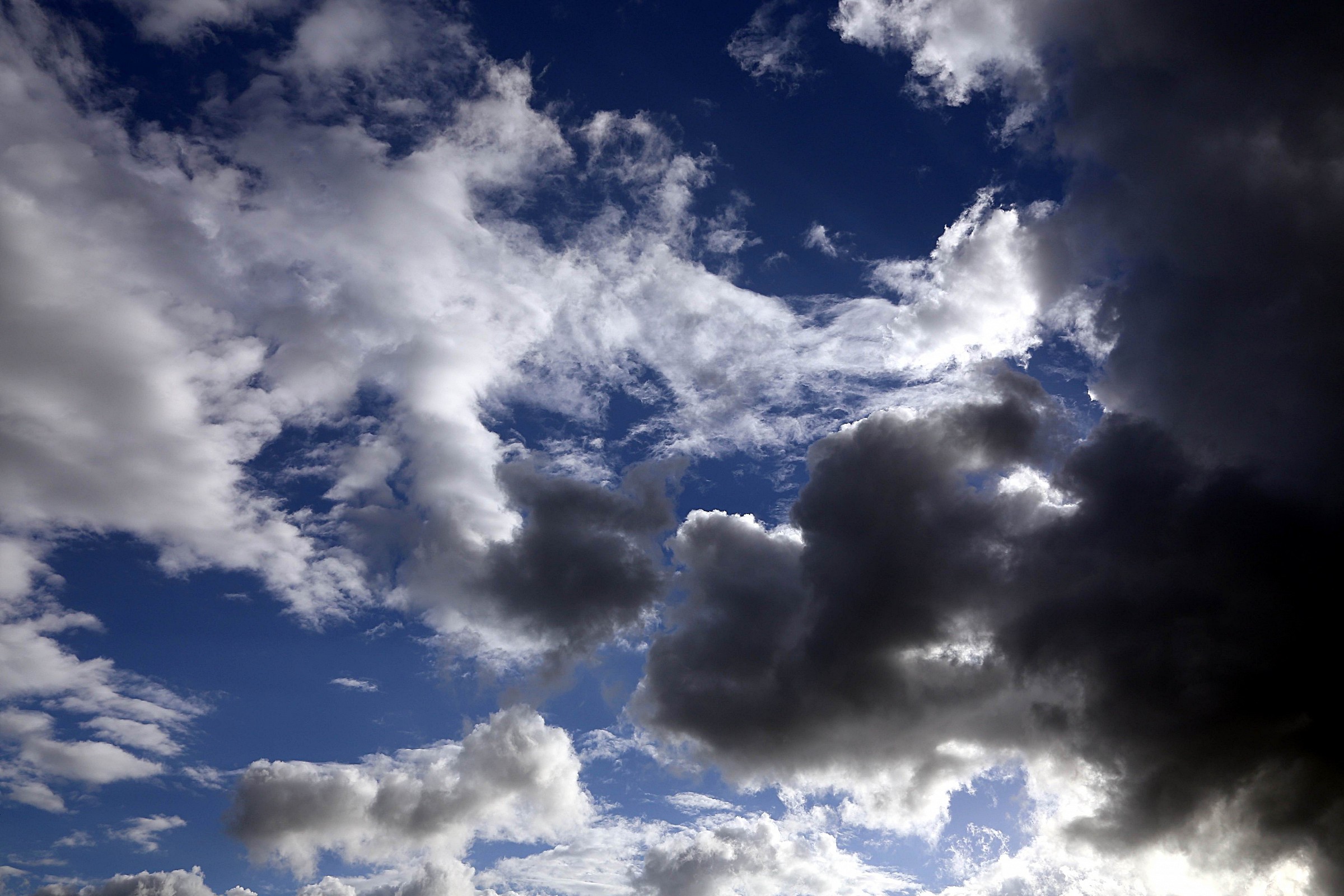 The Doors of Paradise