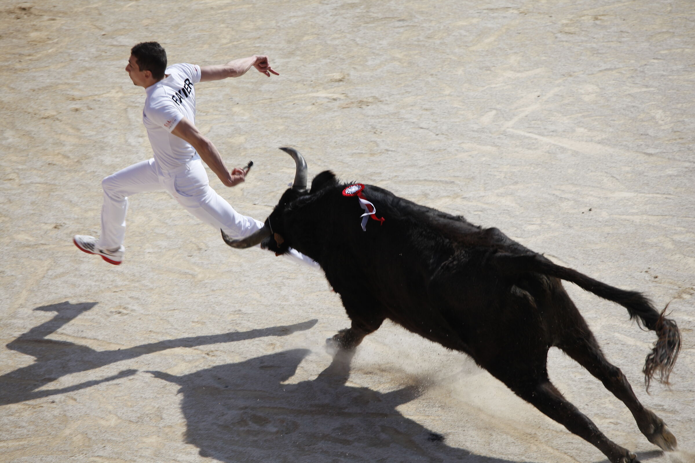 Courses Camarguaises a Arles