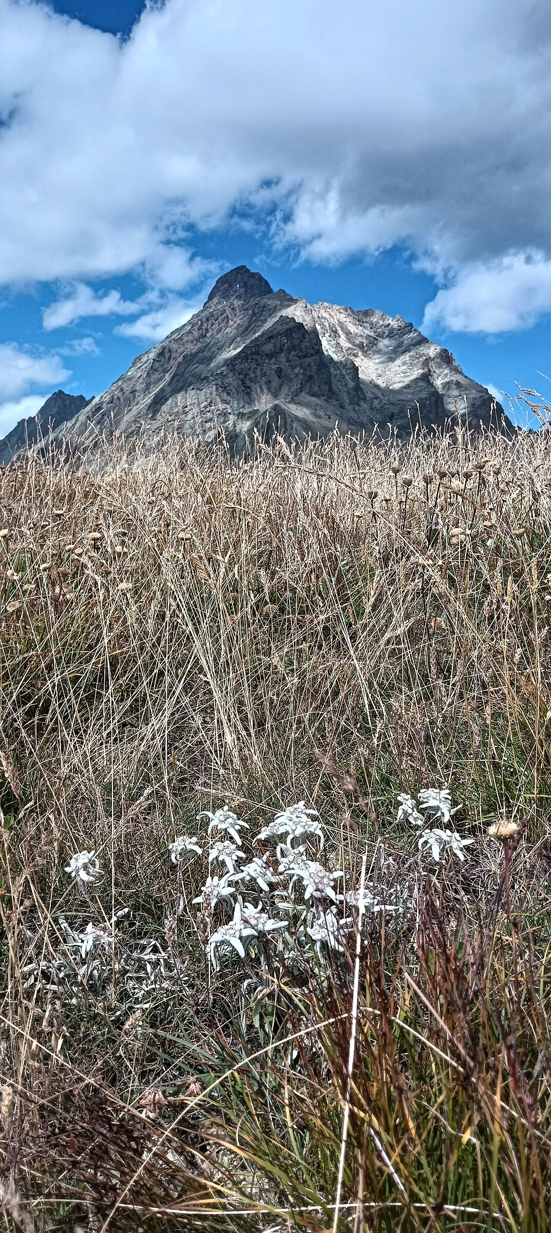 Monviso