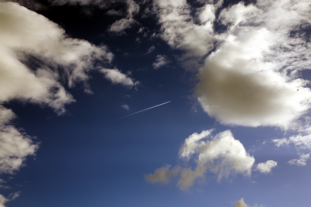 The dream ..... Fly ......