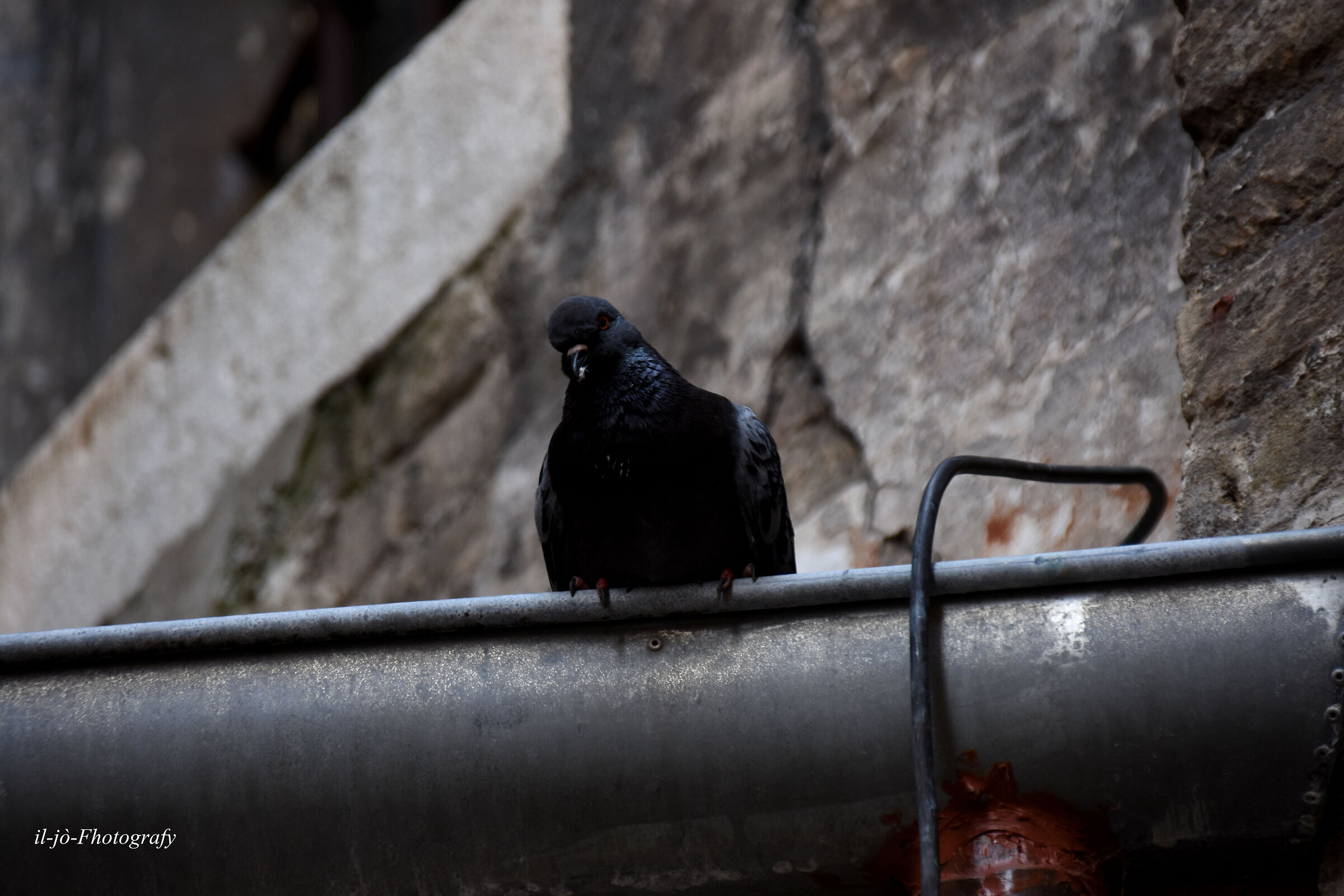 Untitled Photo