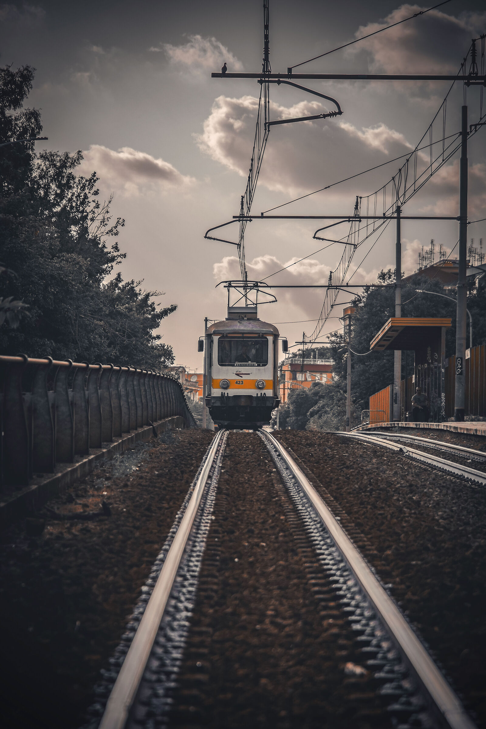 Trenino di TorPigna.