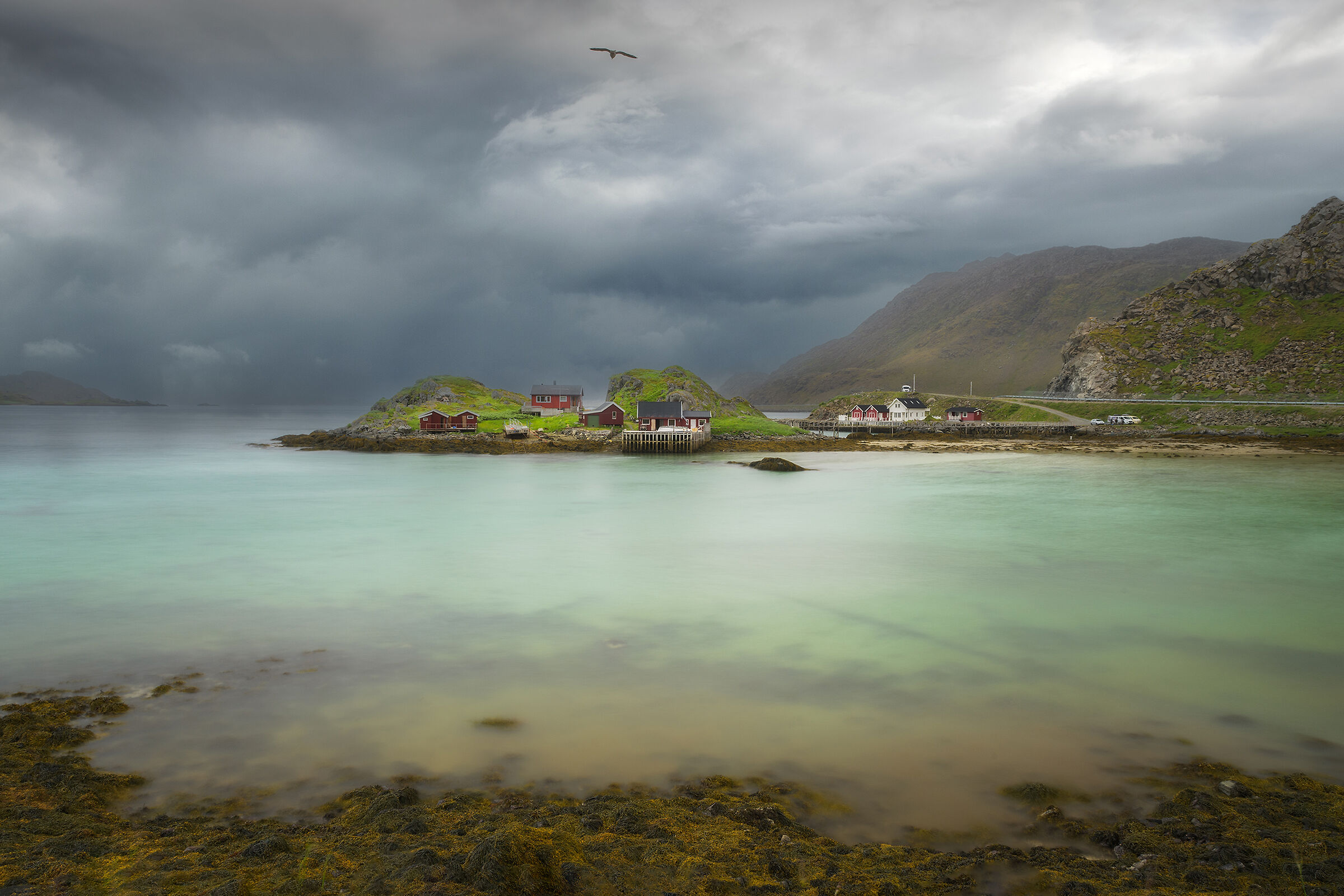 I colori del Grande Nord