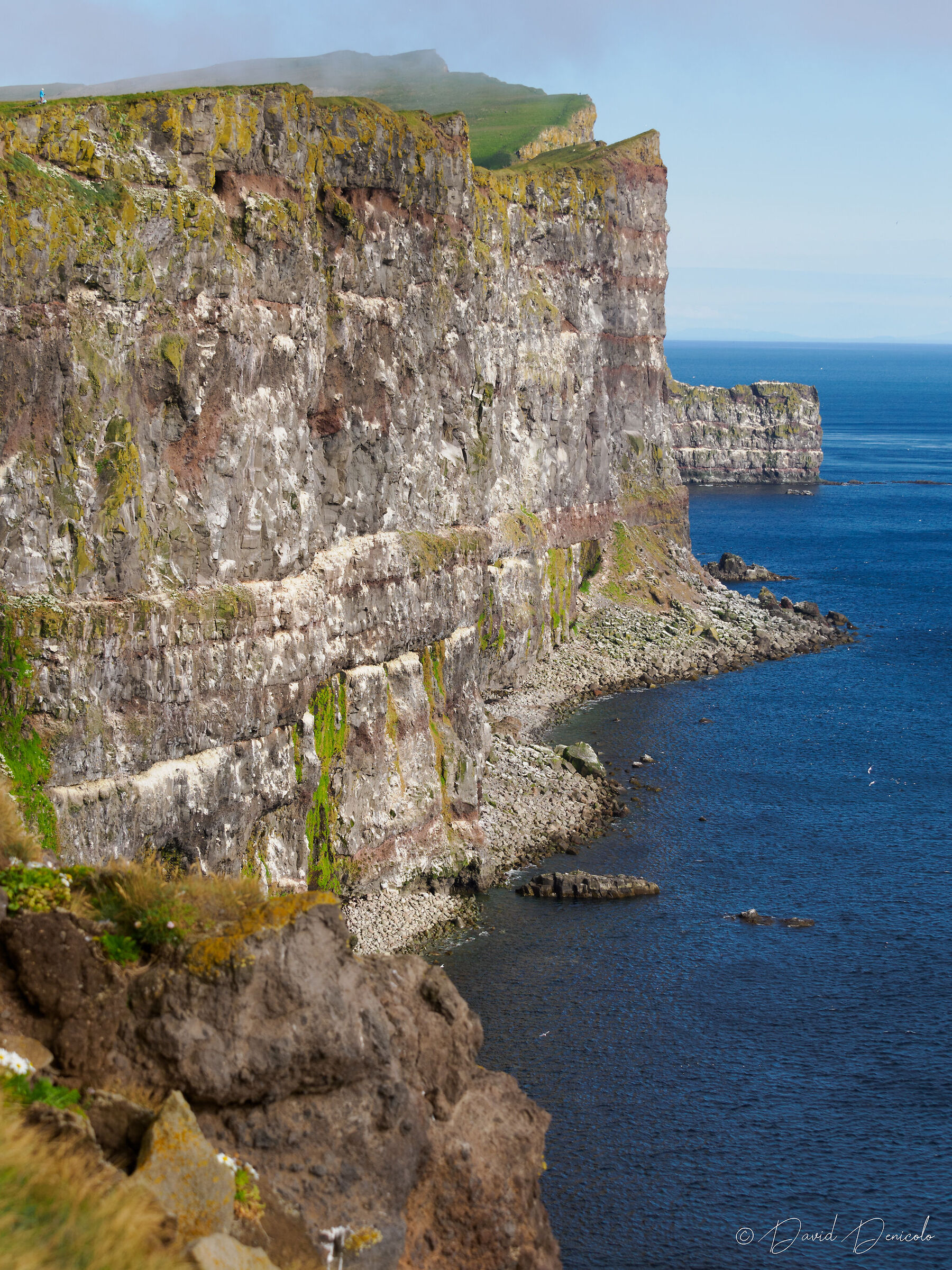 Látrabjarg